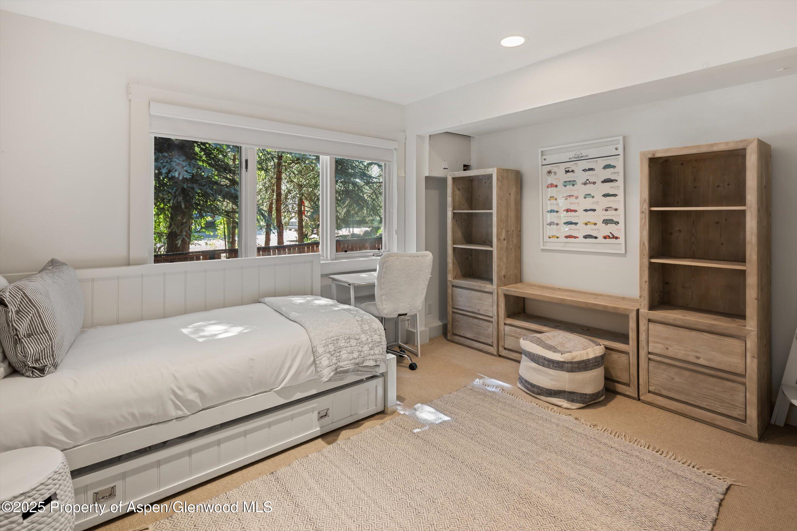 901 W Francis Street Aspen CO 81611