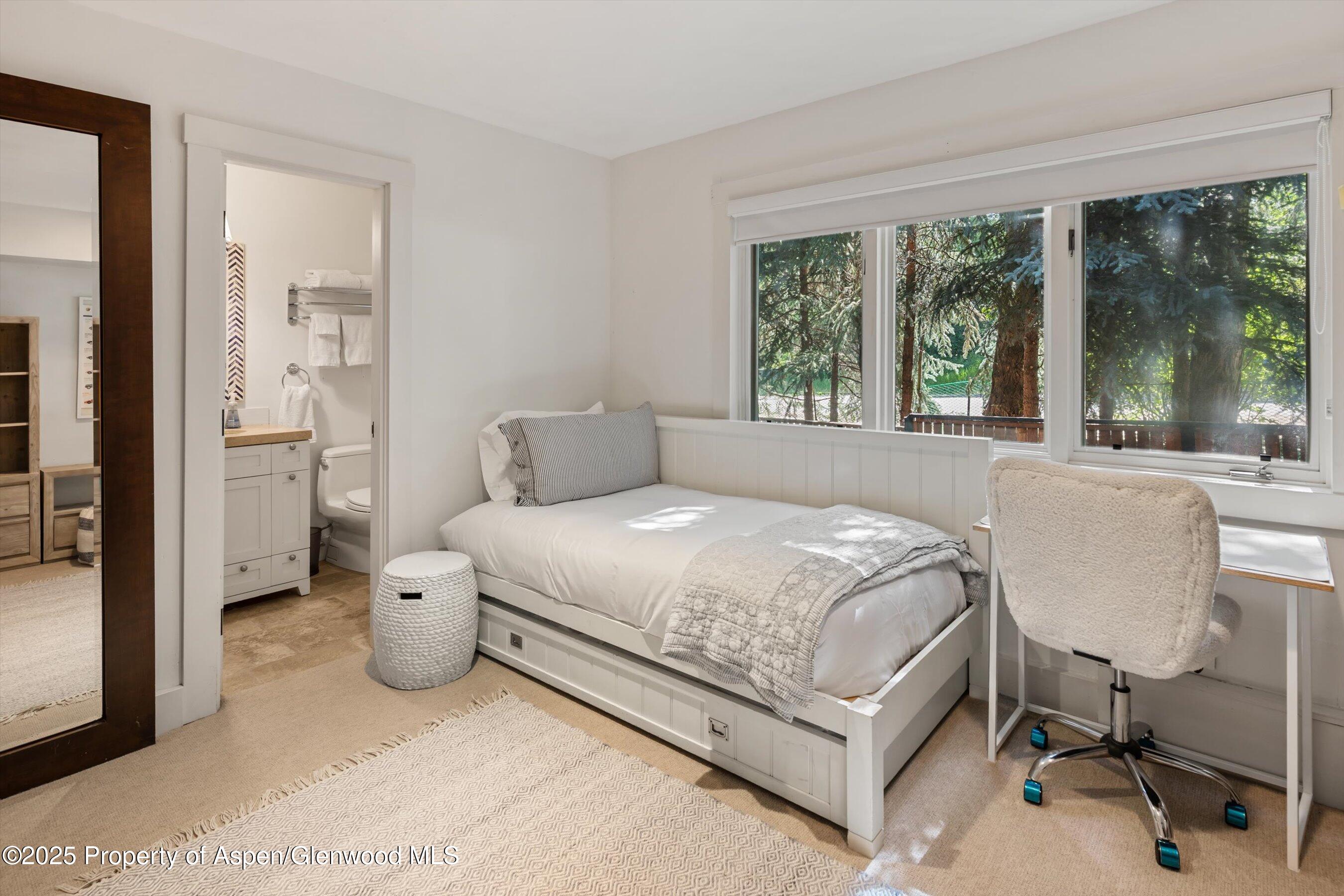 901 W Francis Street Aspen CO 81611