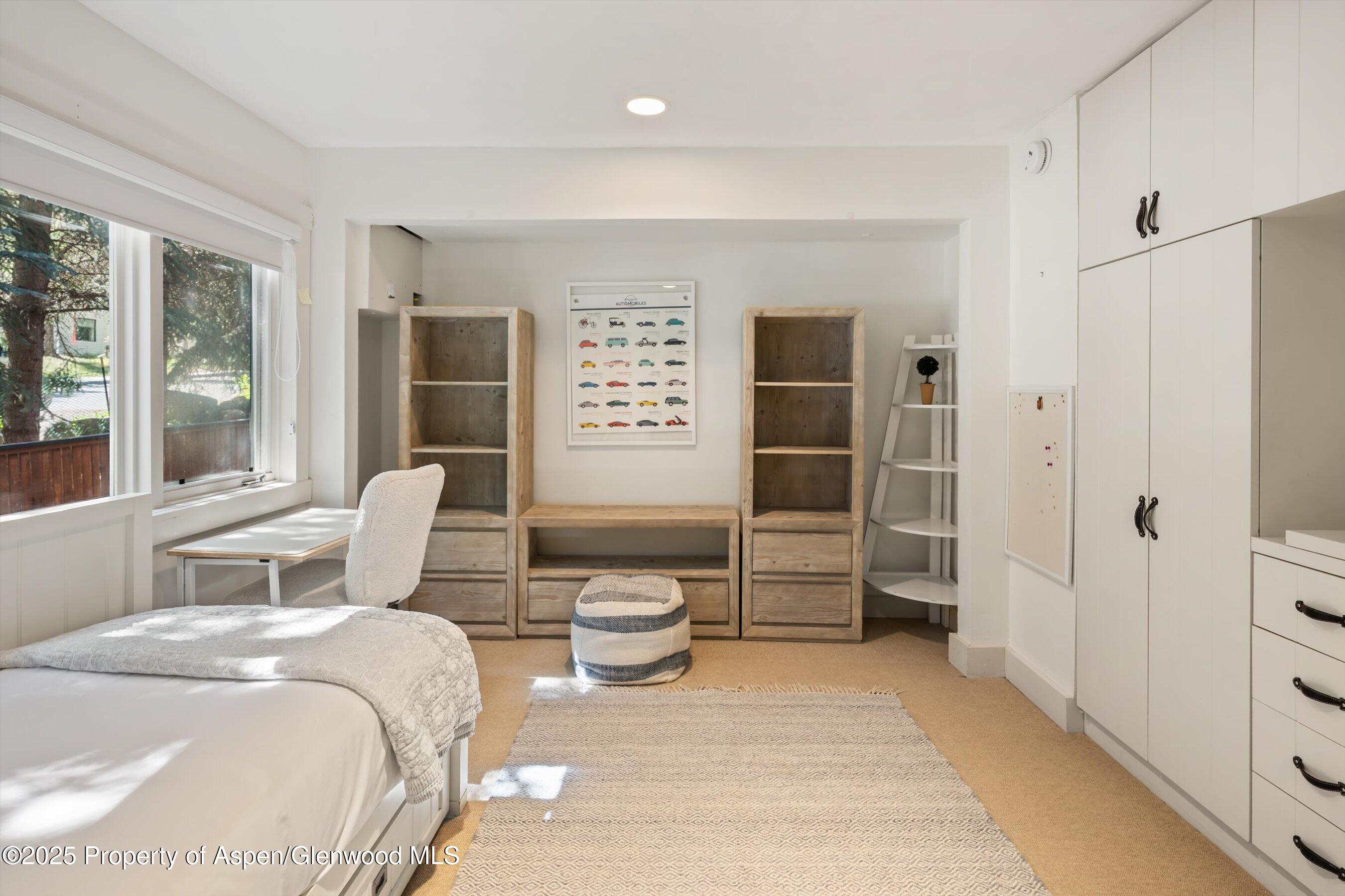 901 W Francis Street Aspen CO 81611