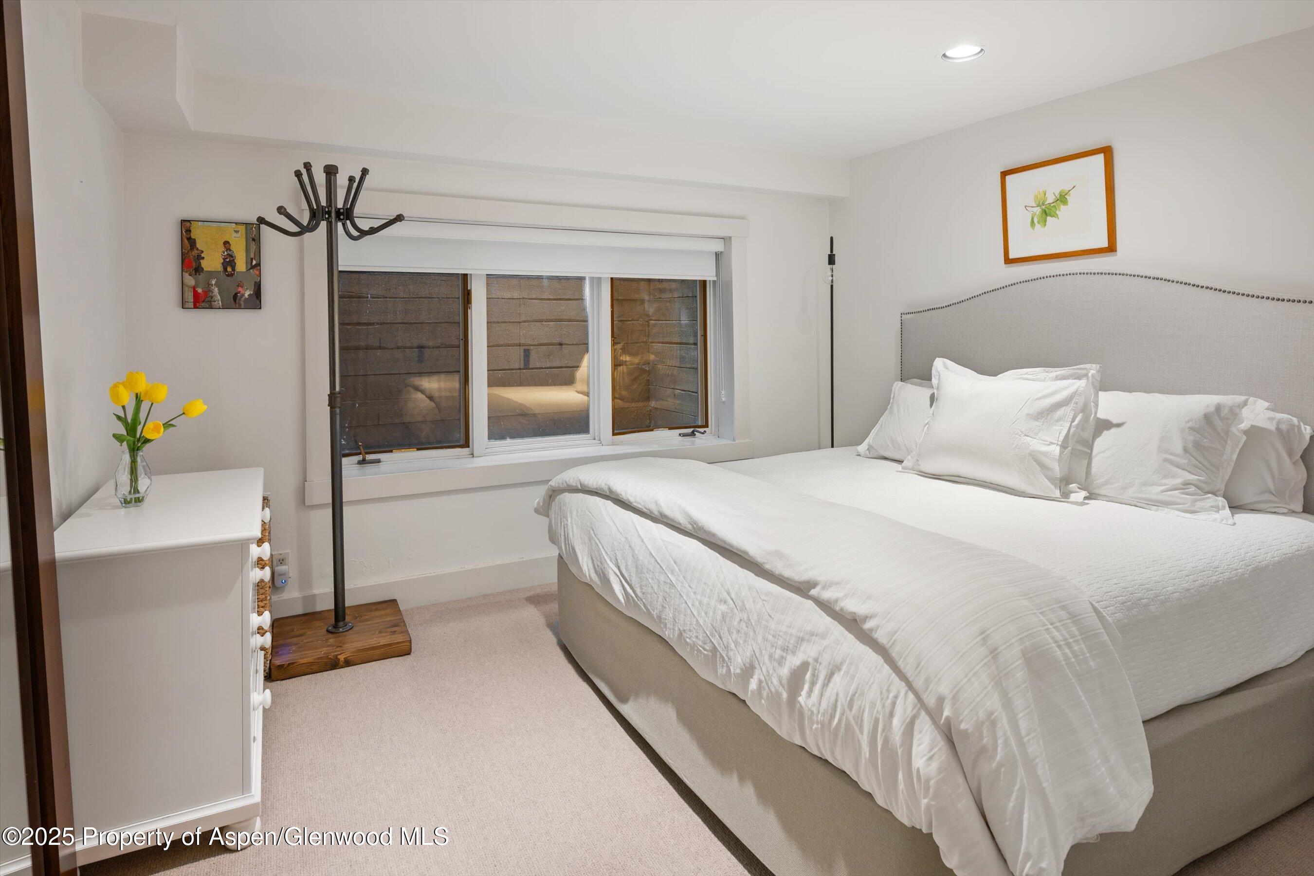 901 W Francis Street Aspen CO 81611