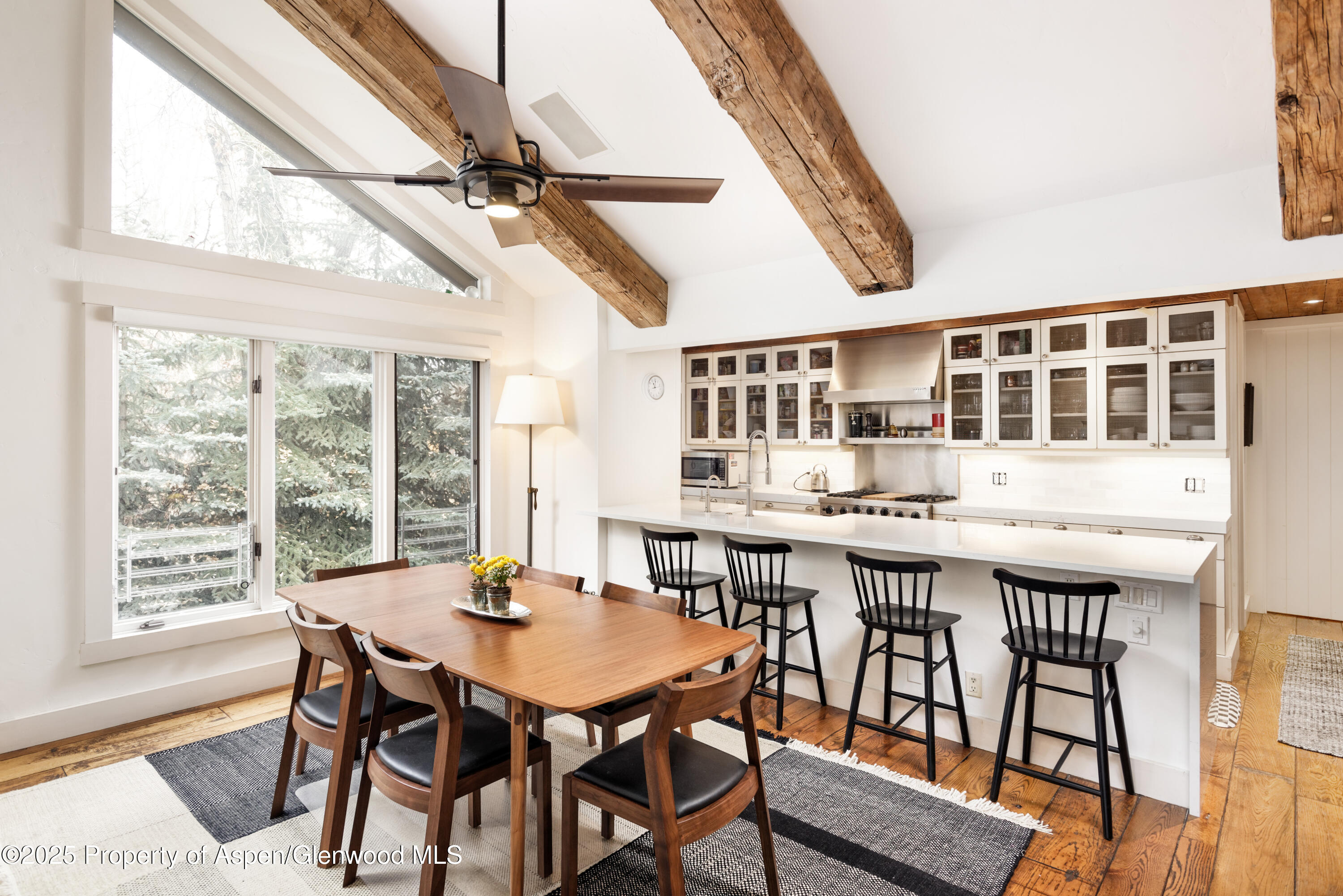 901 W Francis Street Aspen CO 81611