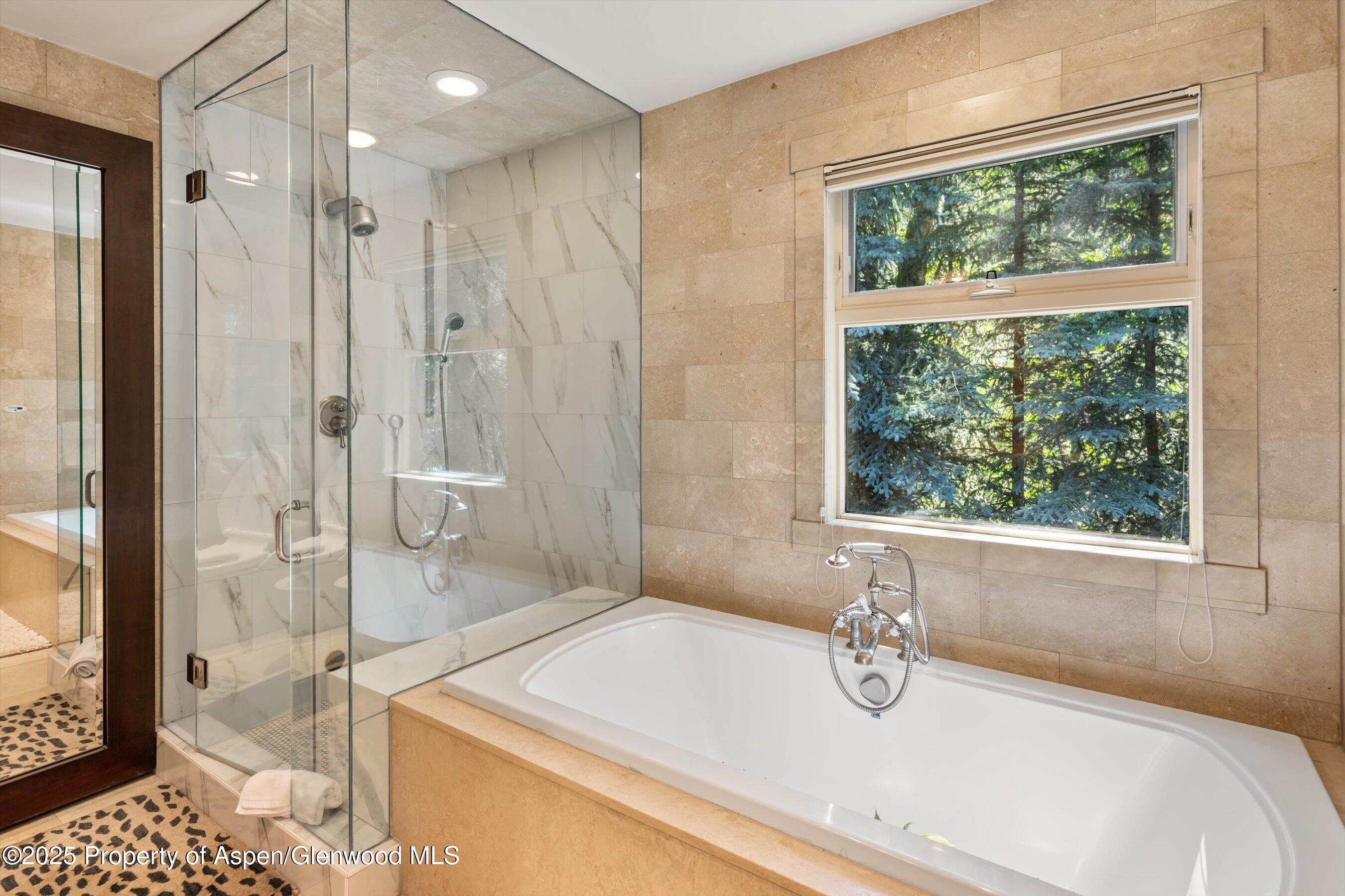 901 W Francis Street Aspen CO 81611