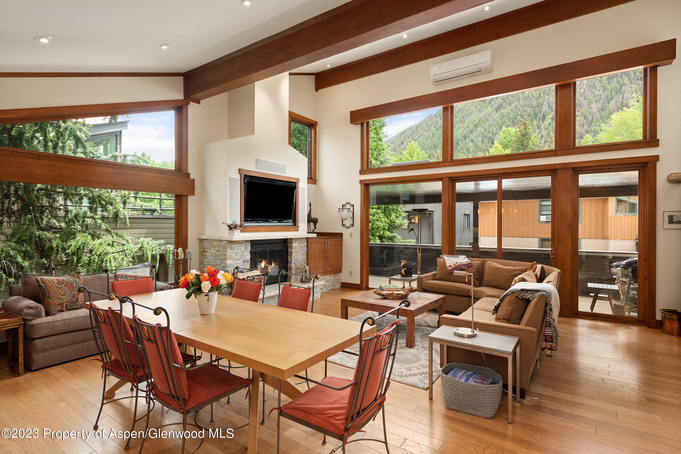 917 E Durant Avenue Aspen CO 81611