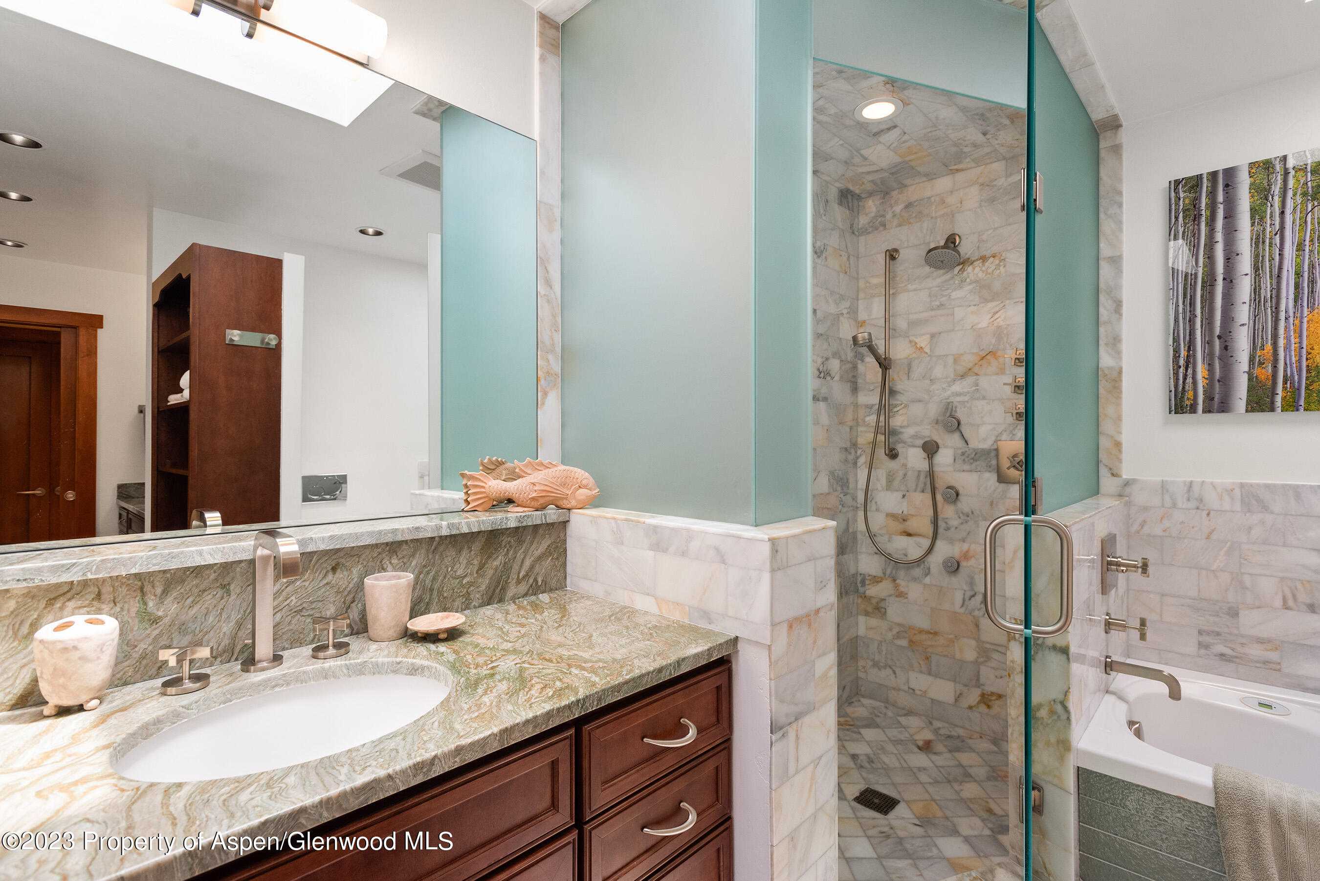 917 E Durant Avenue Aspen CO 81611