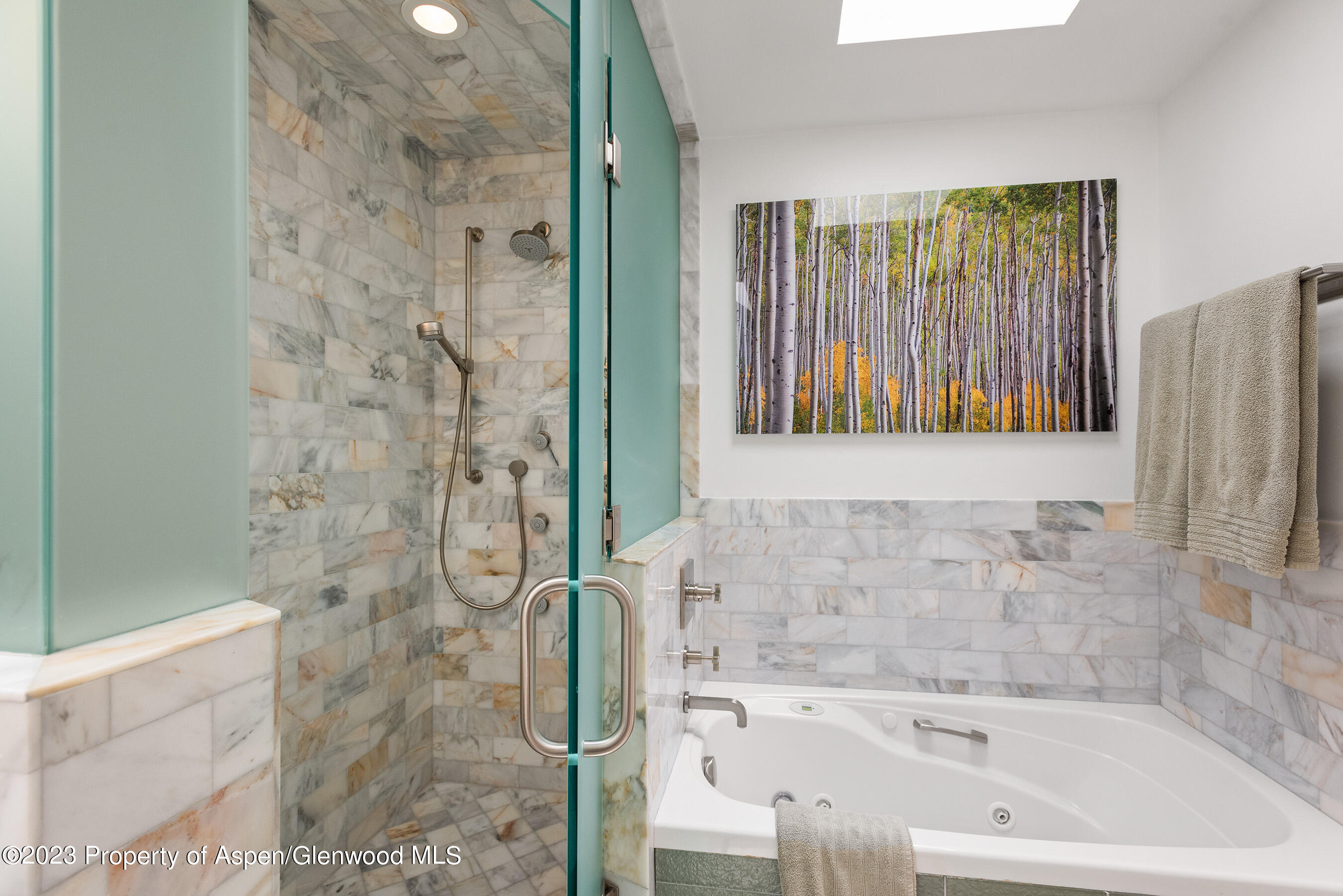 917 E Durant Avenue Aspen CO 81611