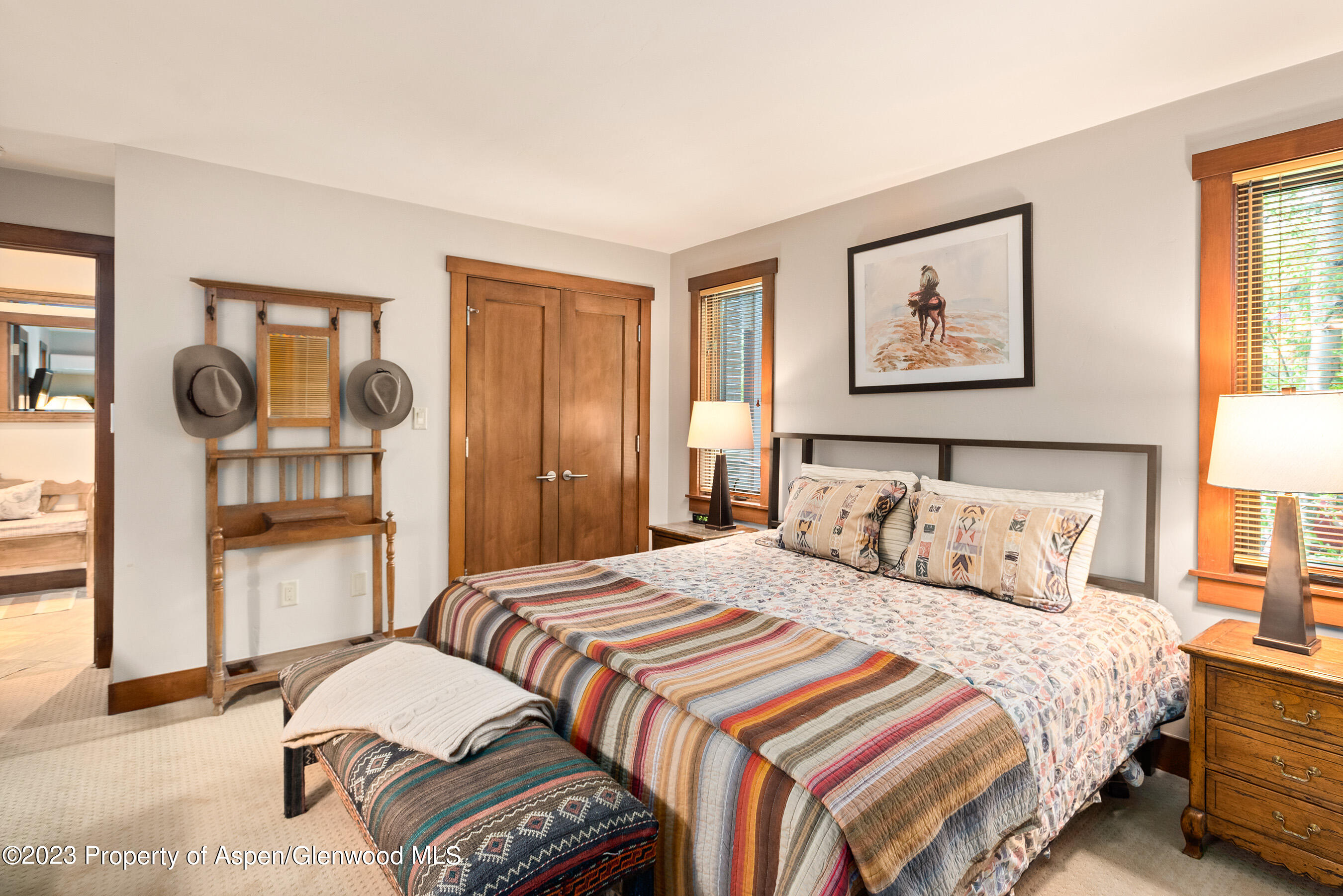 917 E Durant Avenue Aspen CO 81611