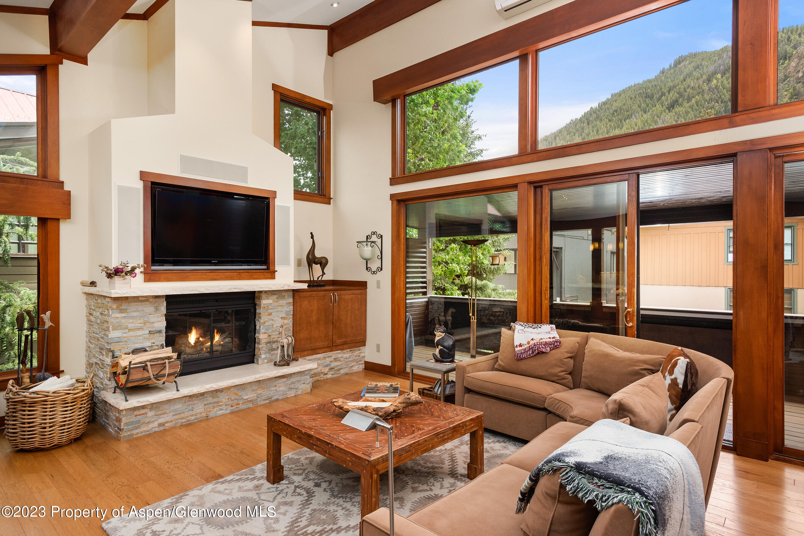 917 E Durant Avenue Aspen CO 81611