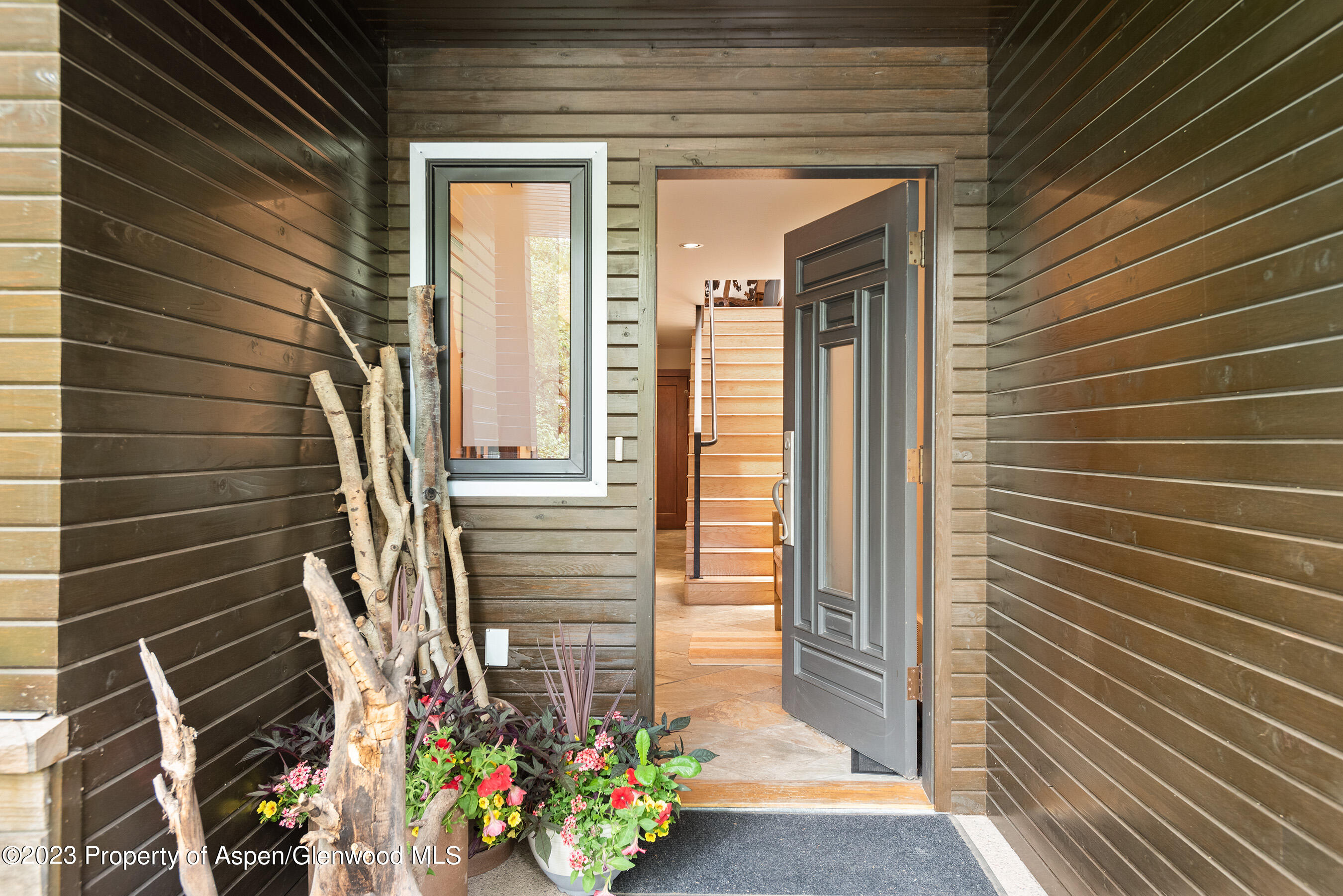 917 E Durant Avenue Aspen CO 81611