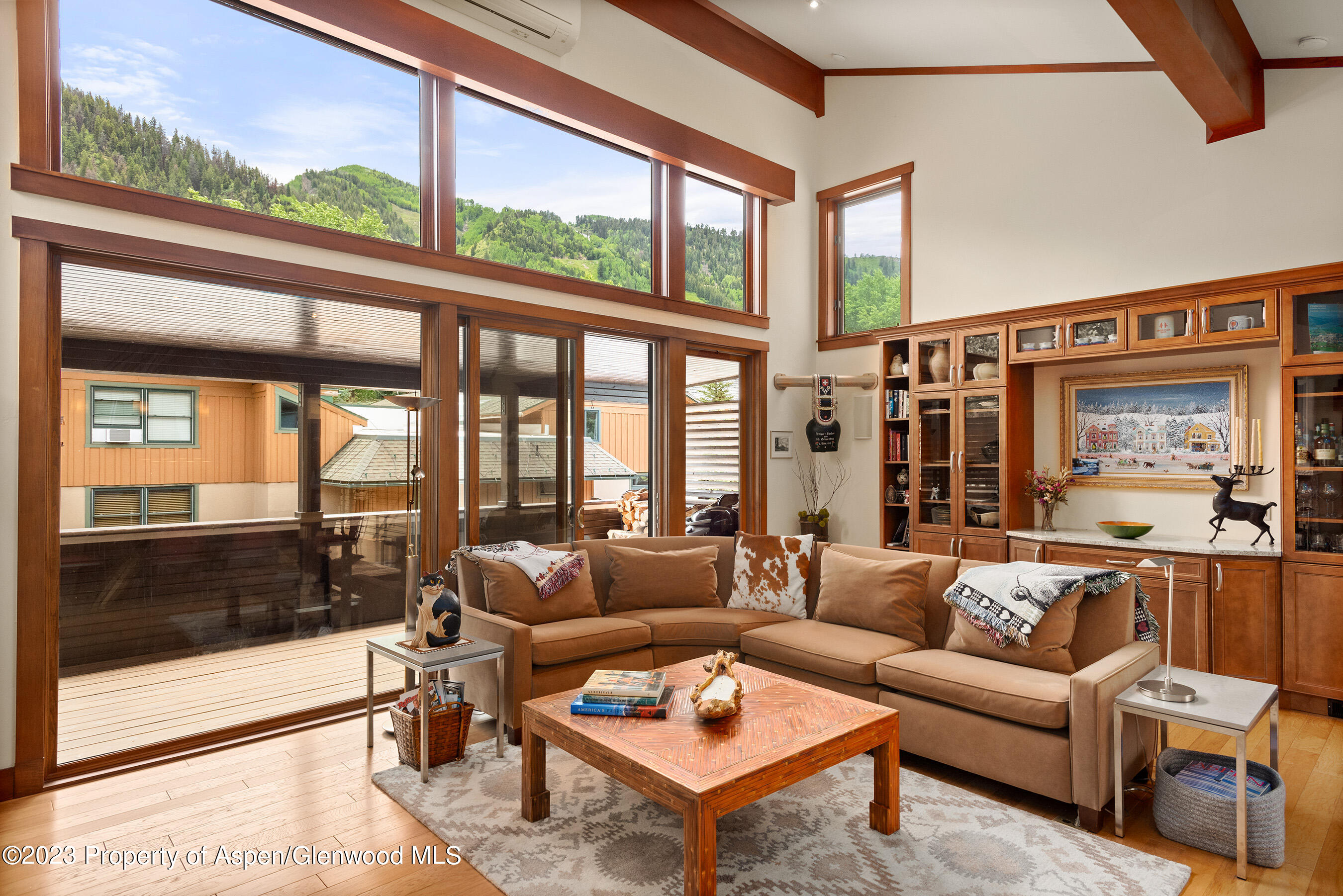 917 E Durant Avenue Aspen CO 81611