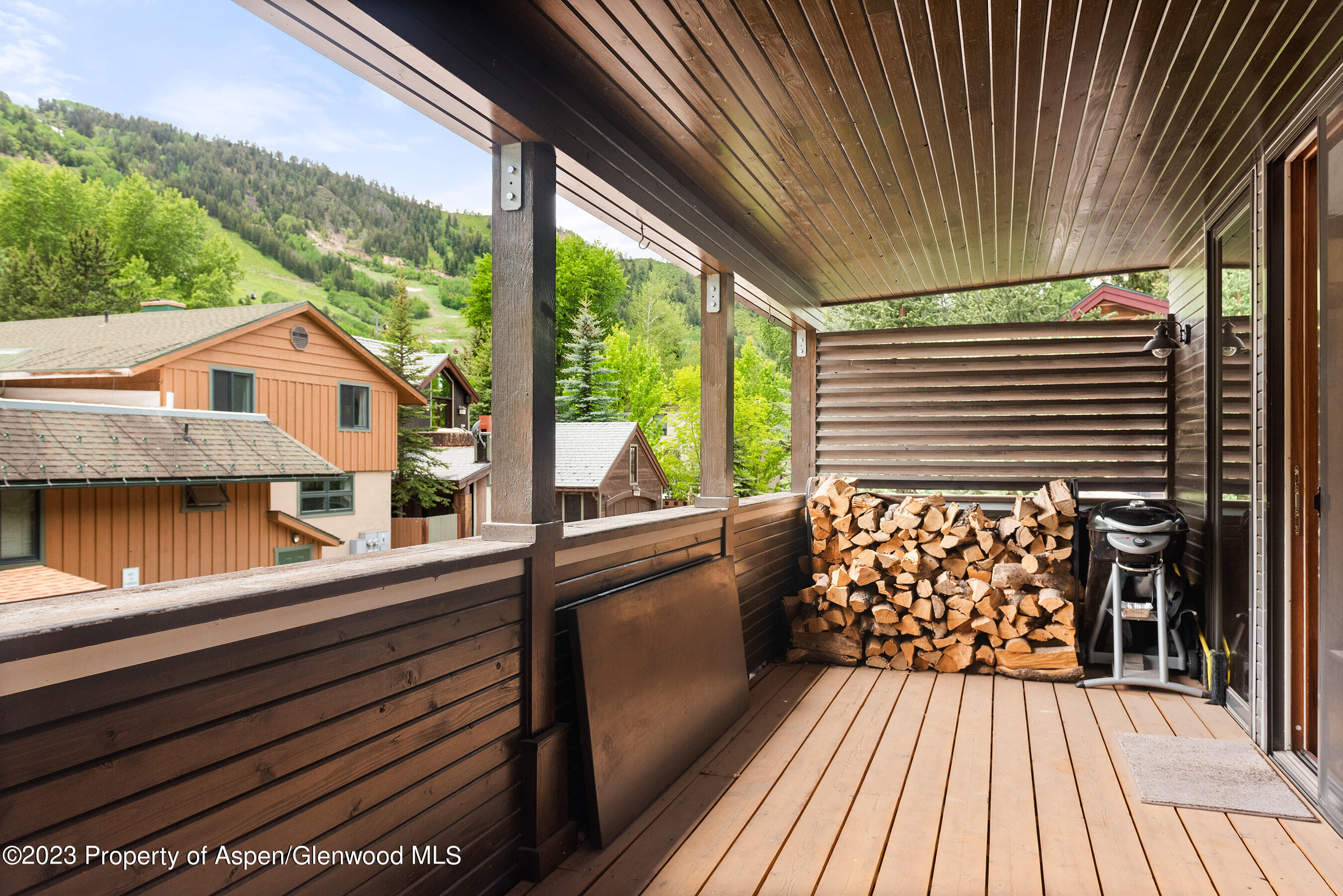 917 E Durant Avenue Aspen CO 81611