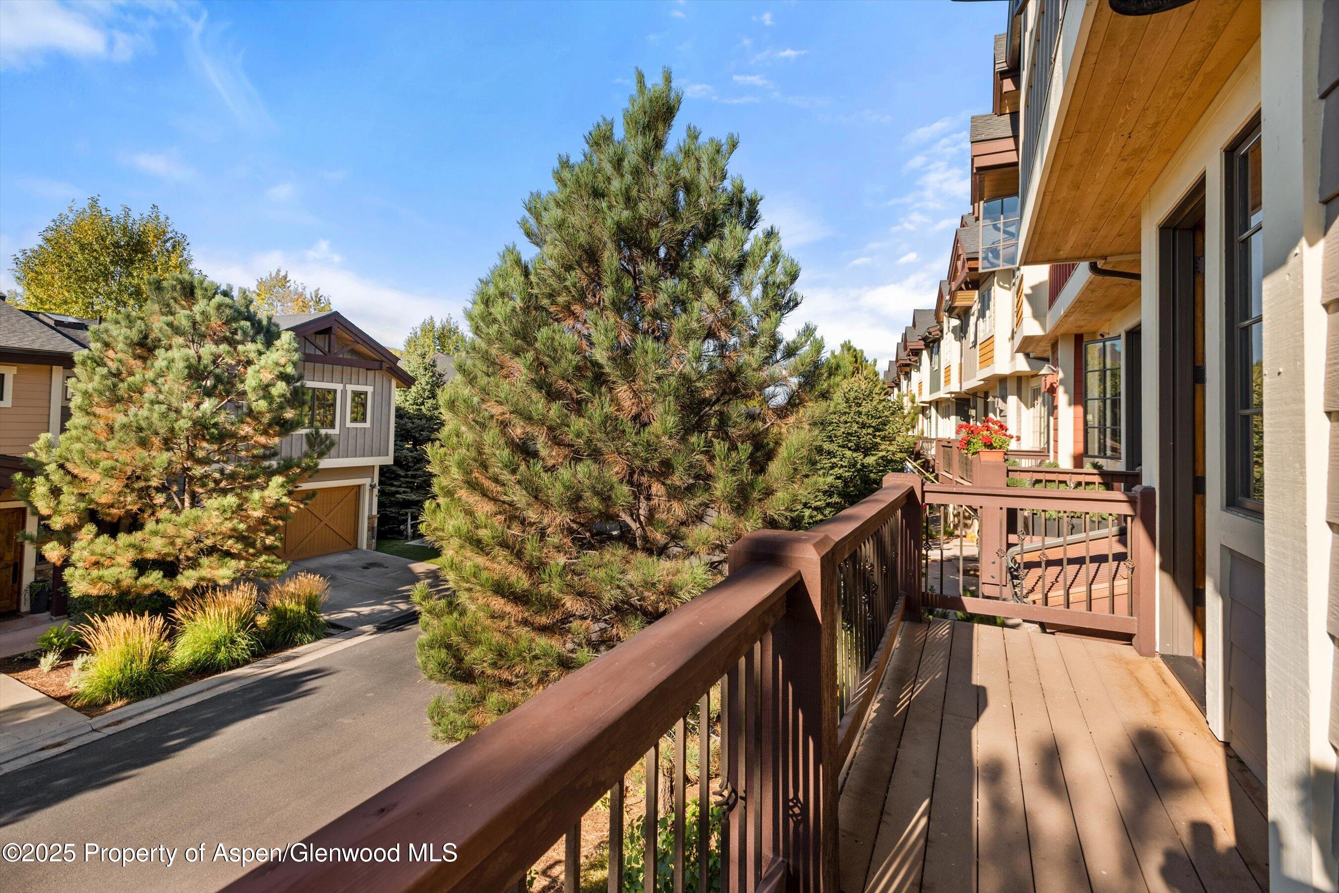 163 Juniper Trail Eljebel CO 81623