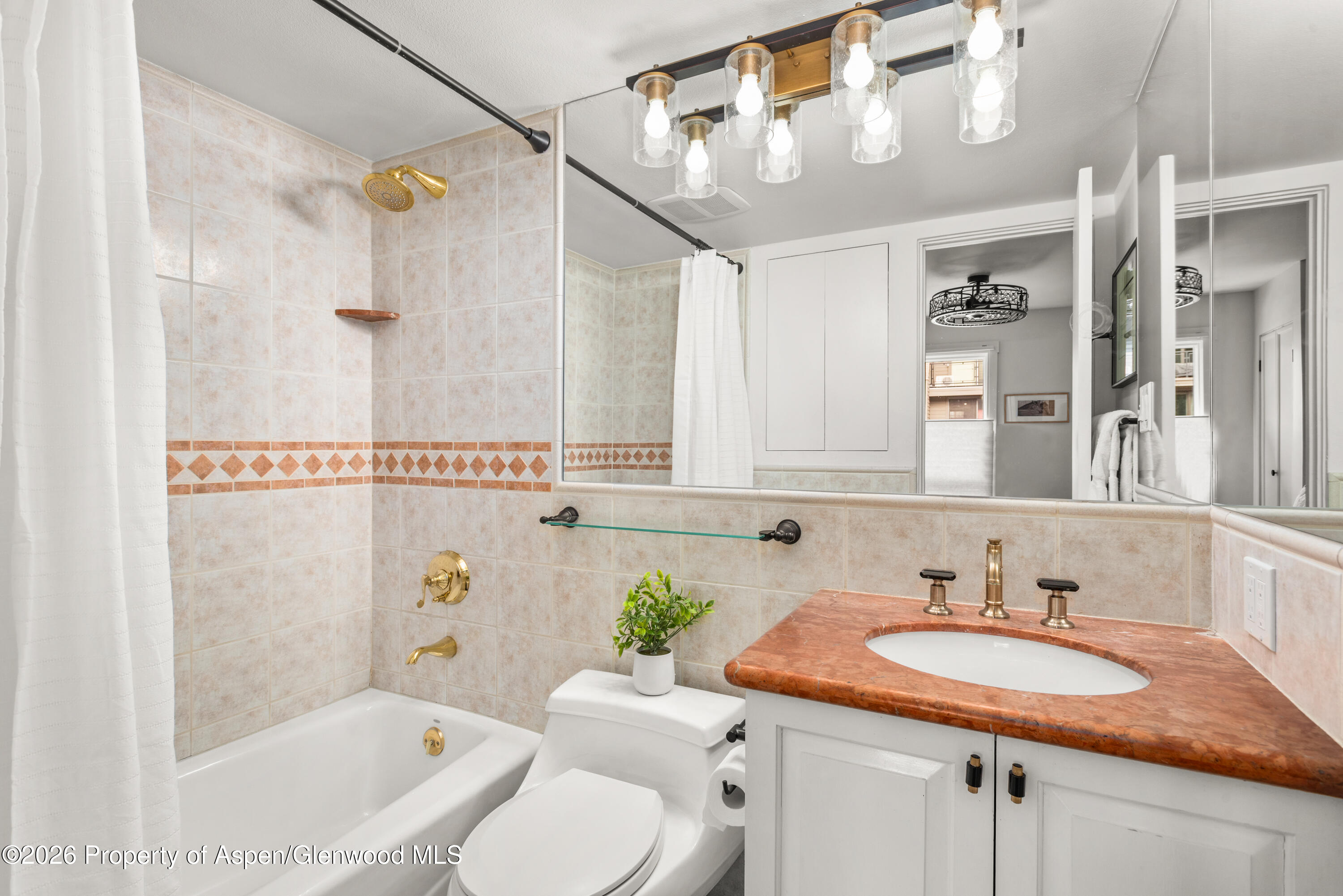 250 S Original Street Aspen CO 81611