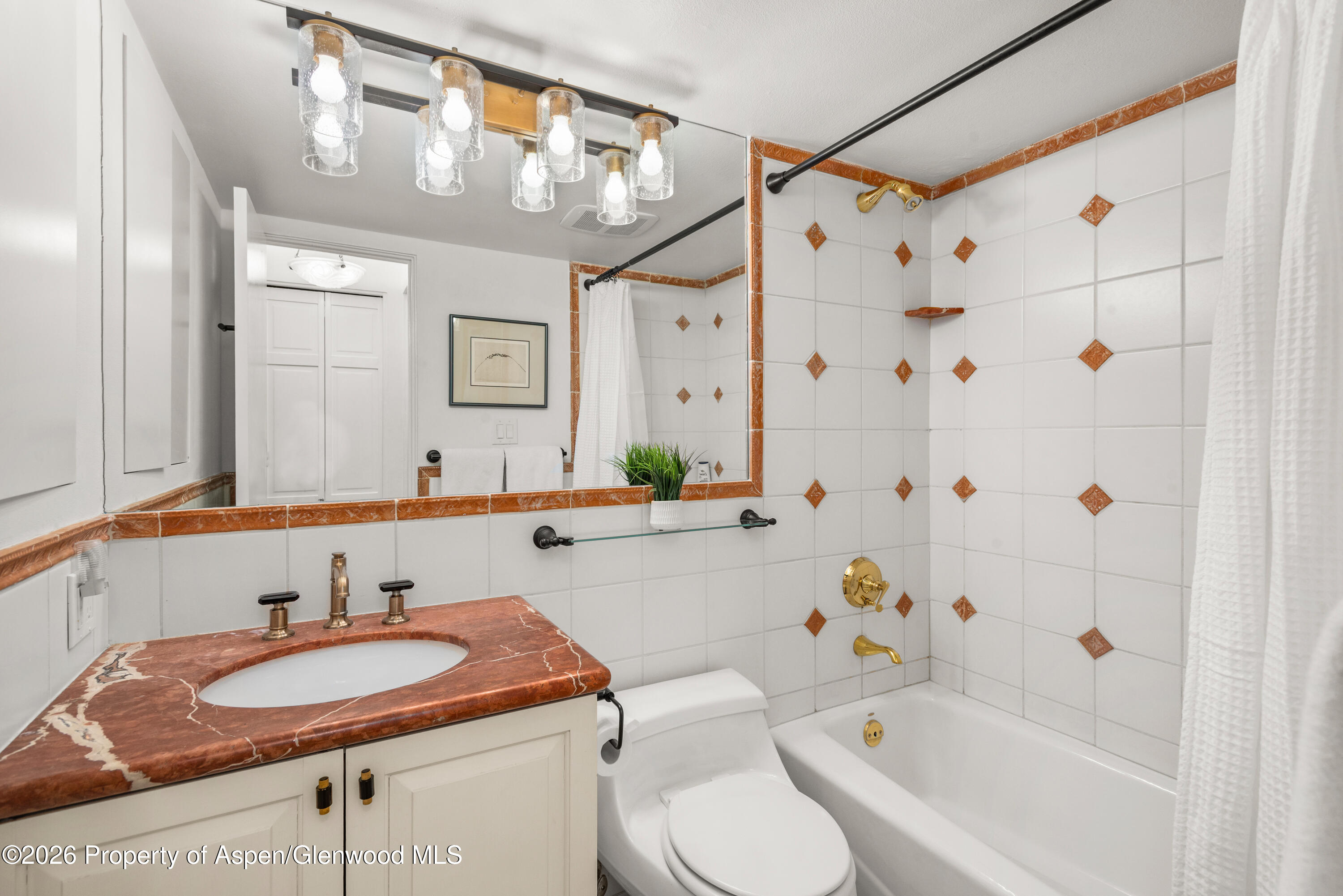 250 S Original Street Aspen CO 81611