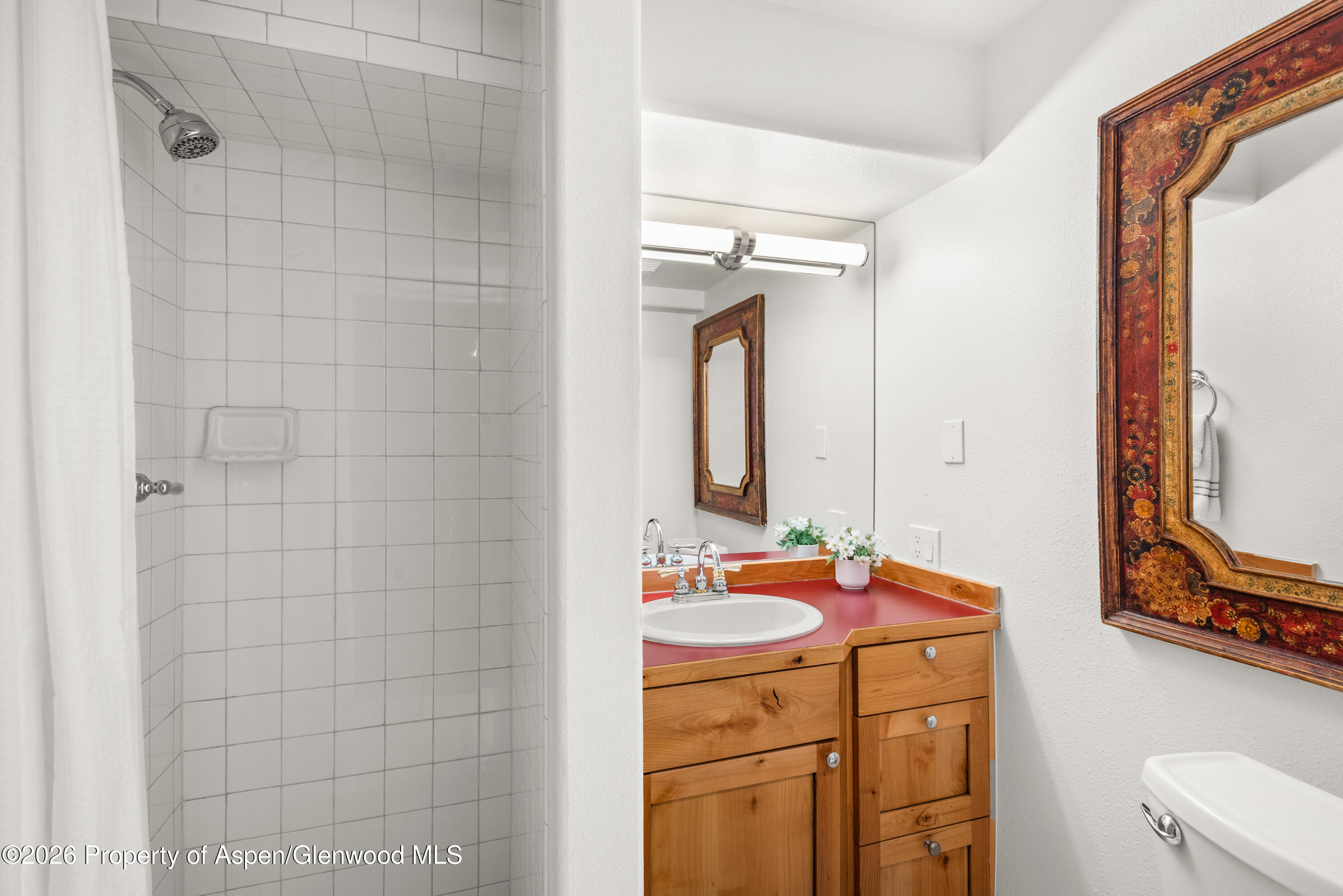 250 S Original Street Aspen CO 81611