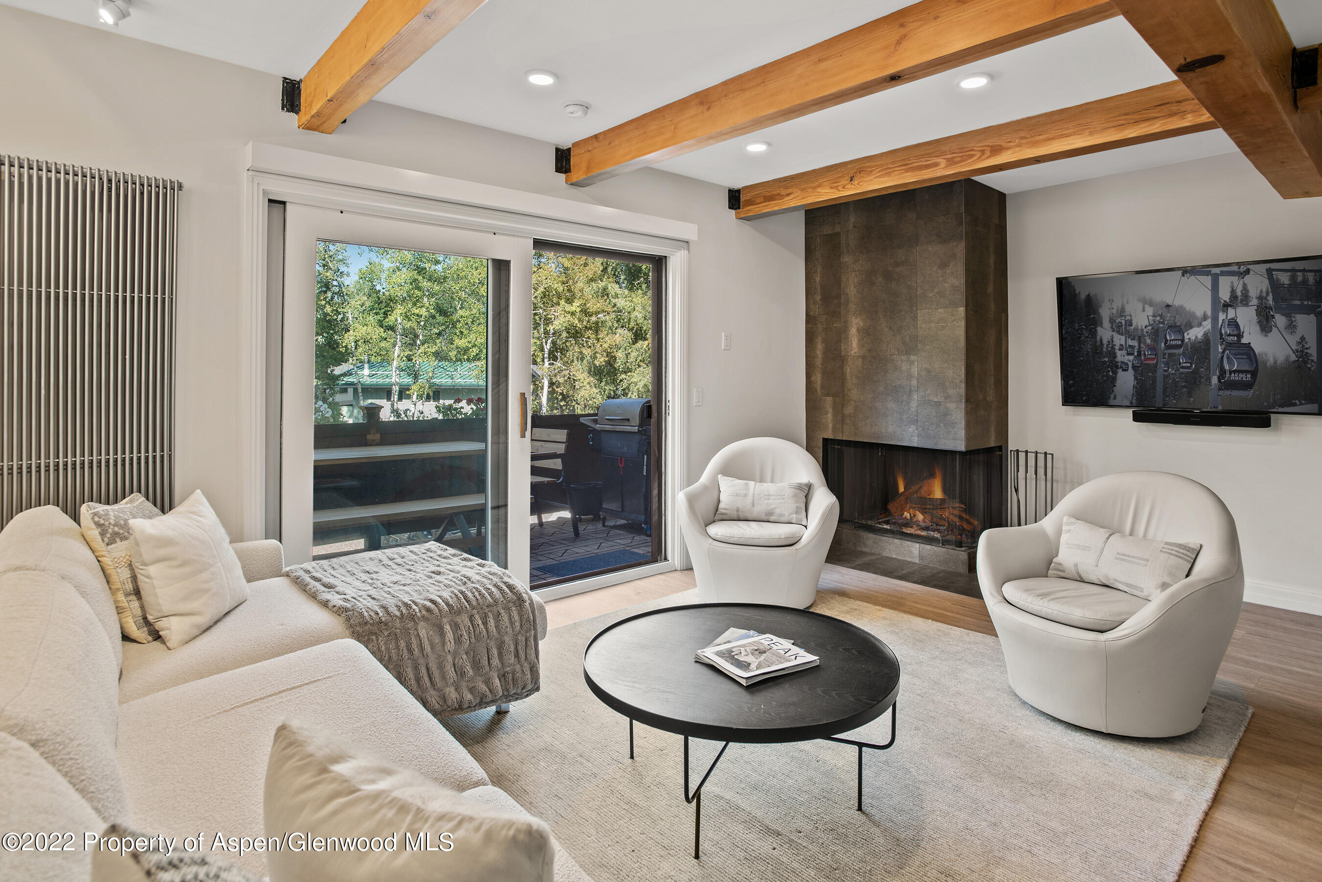 424 Park Circle Aspen CO 81611