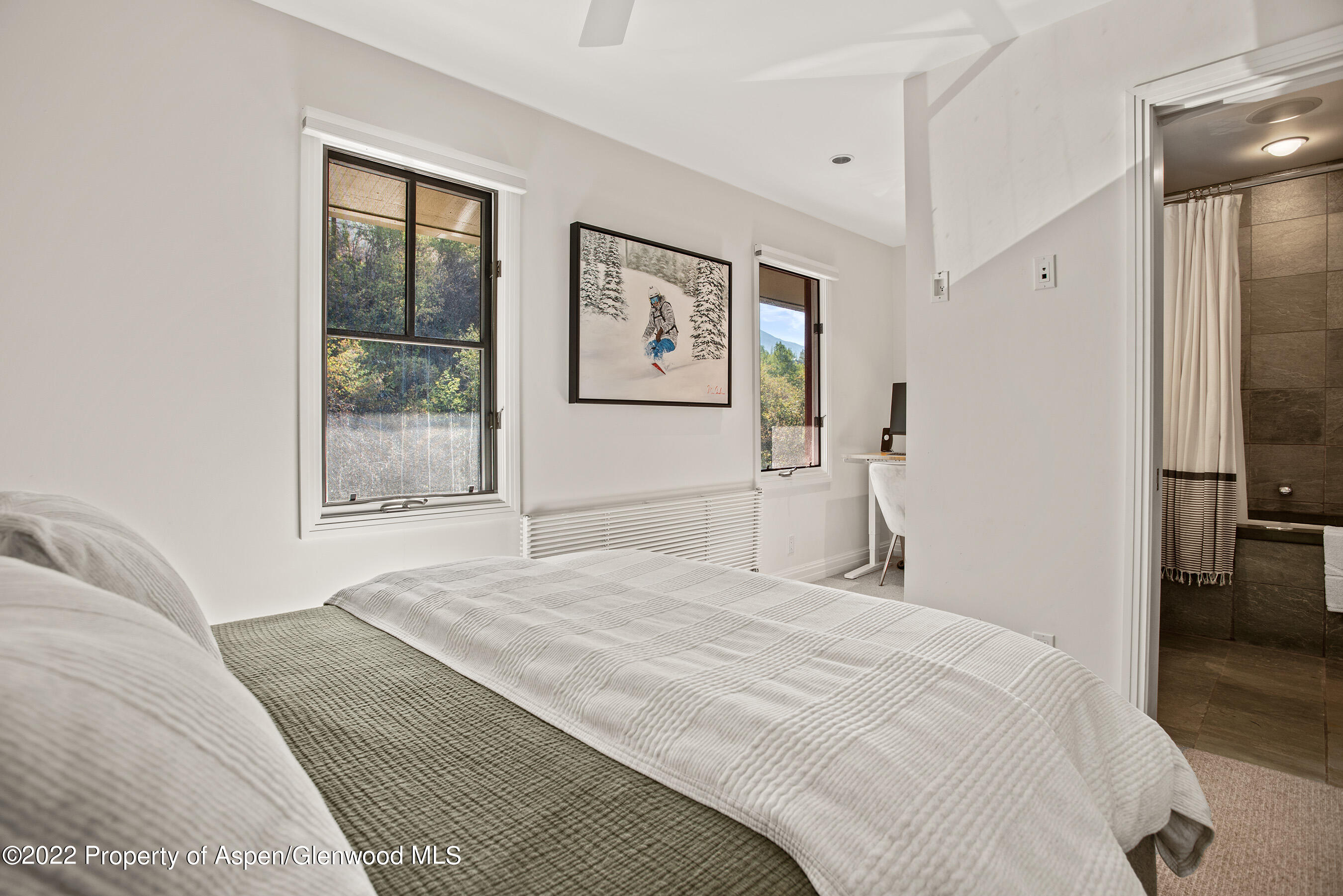 424 Park Circle Aspen CO 81611