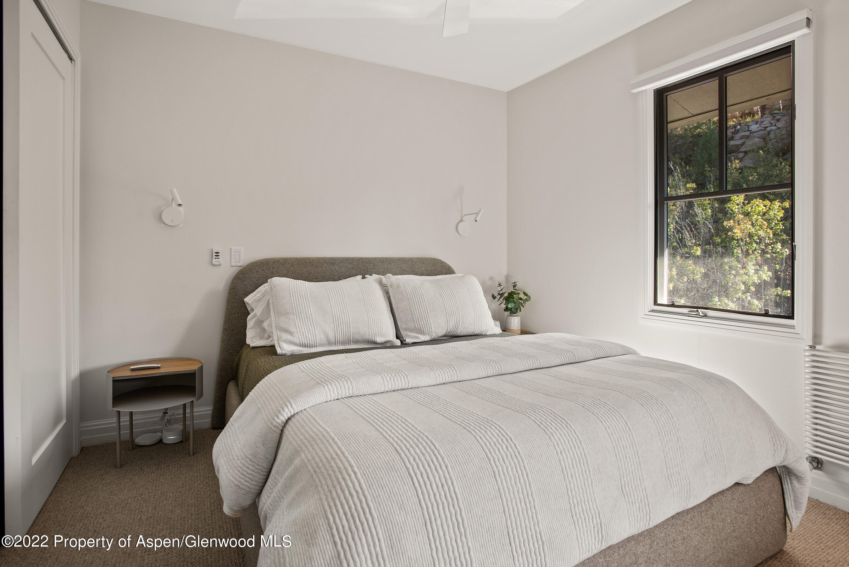 424 Park Circle Aspen CO 81611