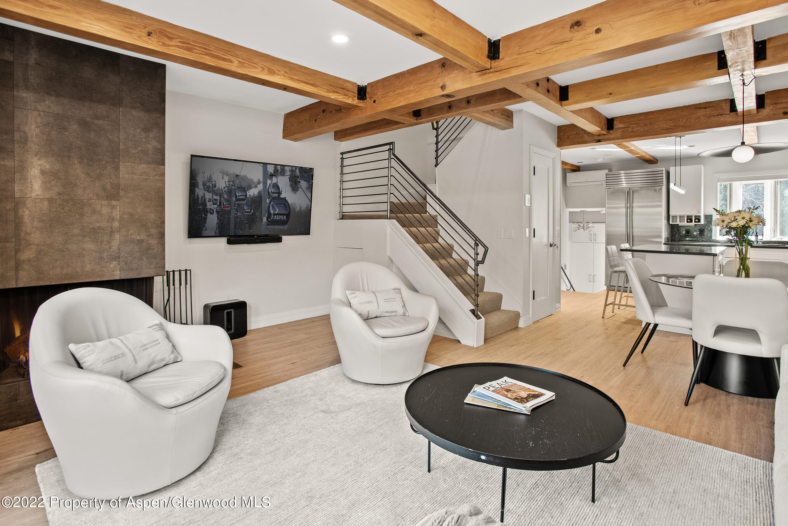 424 Park Circle Aspen CO 81611