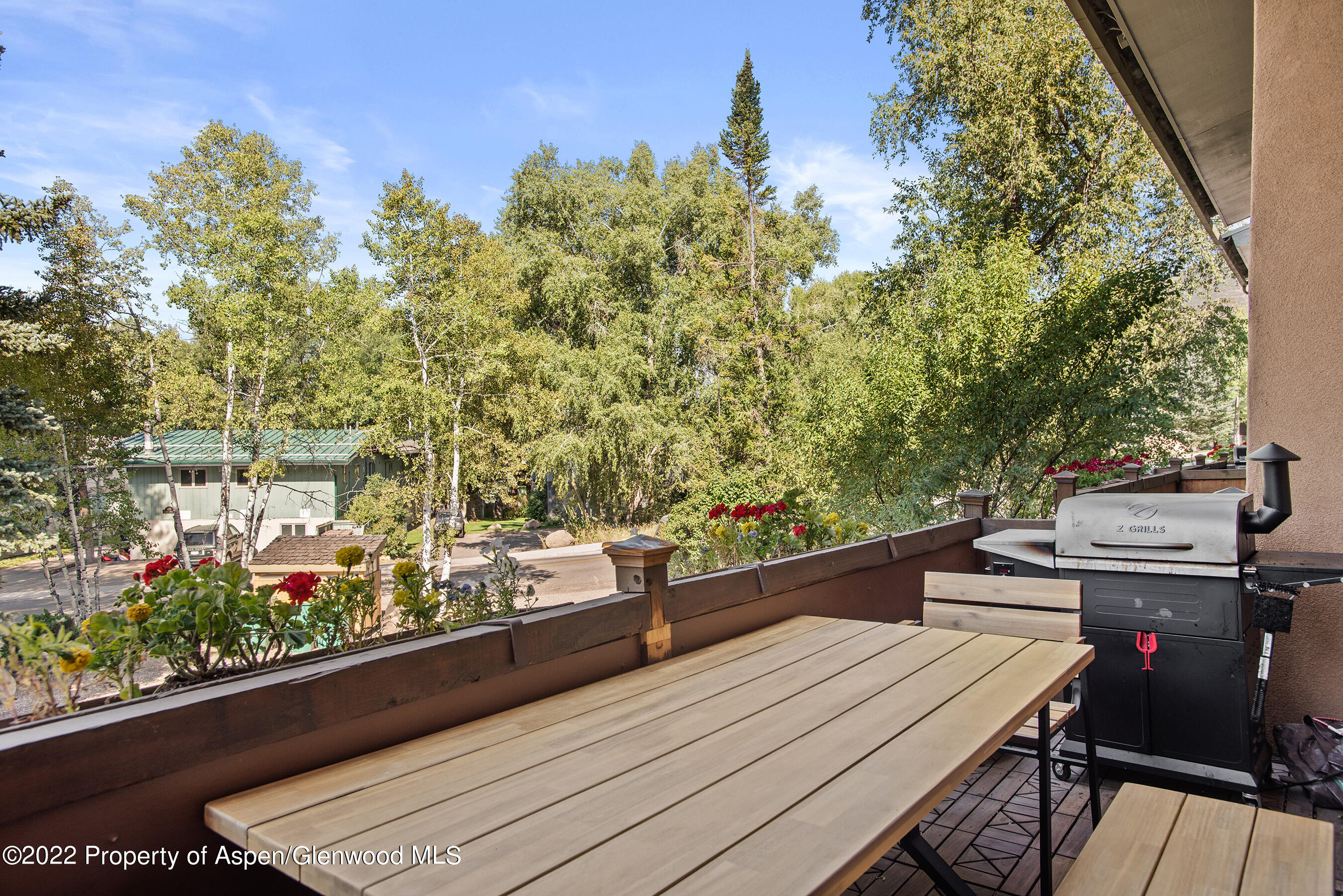 424 Park Circle Aspen CO 81611