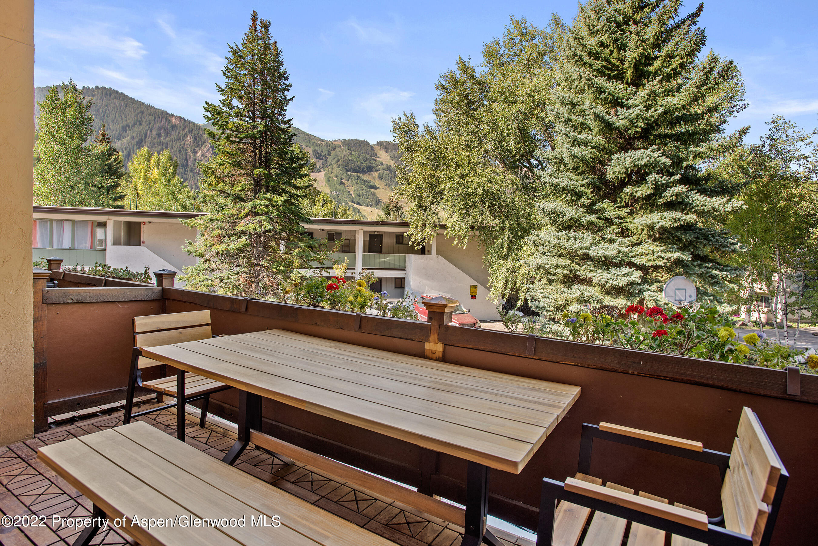 424 Park Circle Aspen CO 81611