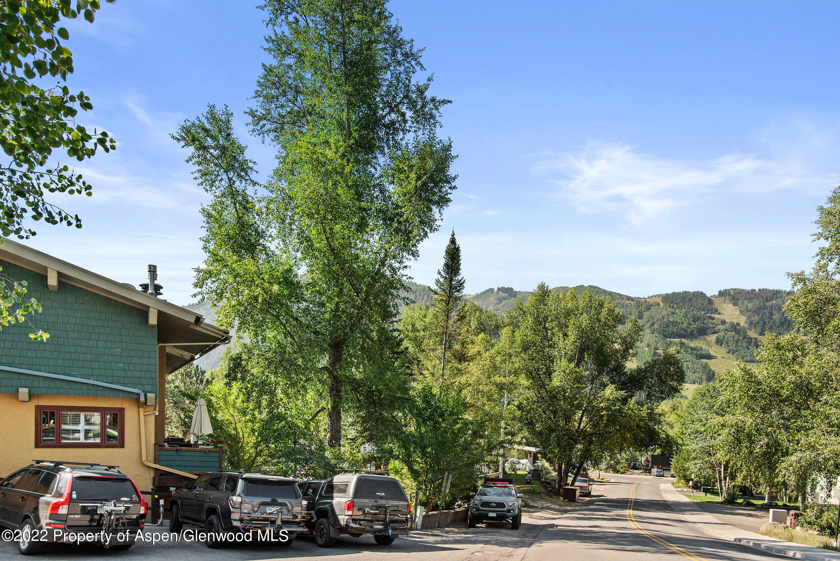 424 Park Circle Aspen CO 81611