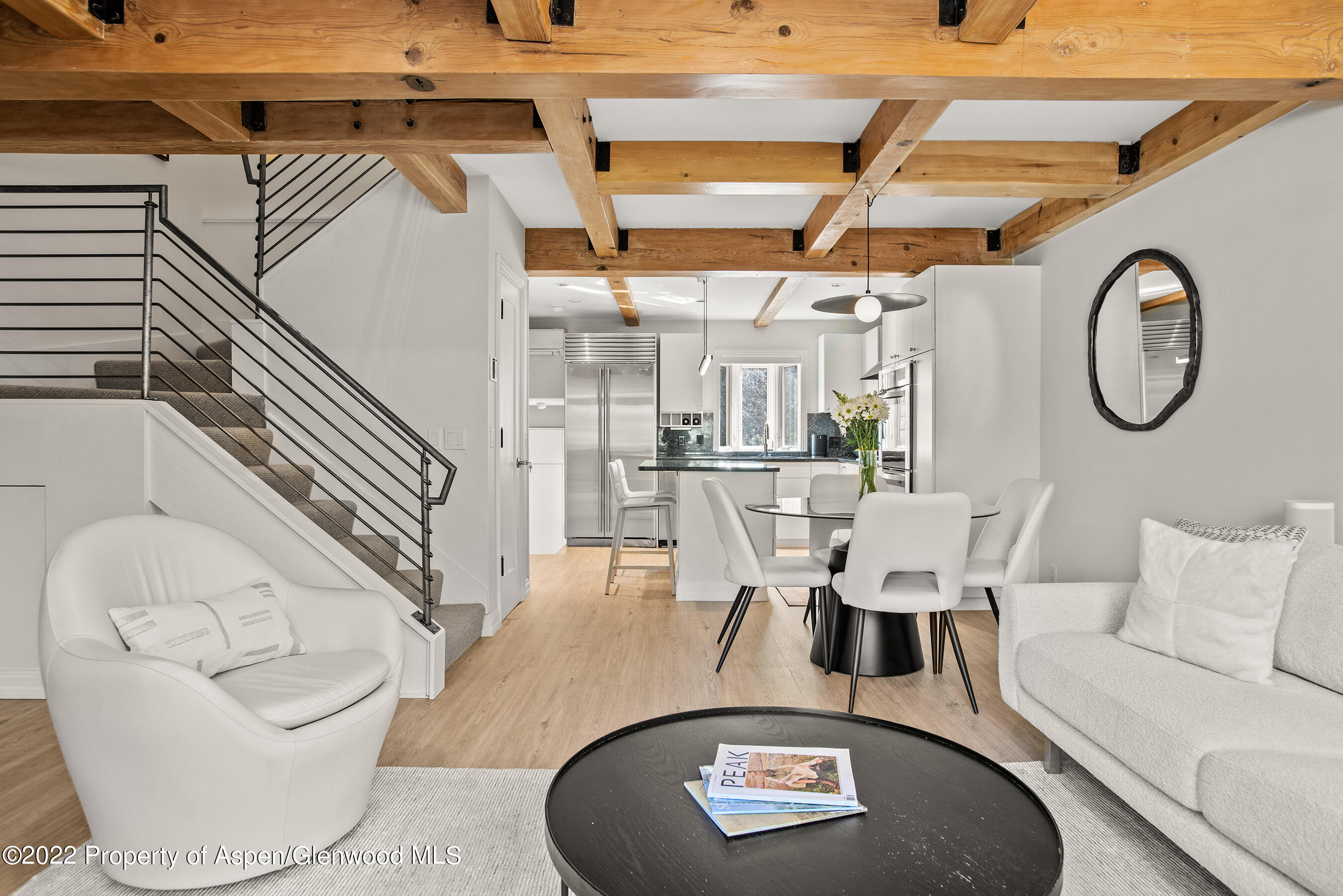 424 Park Circle Aspen CO 81611