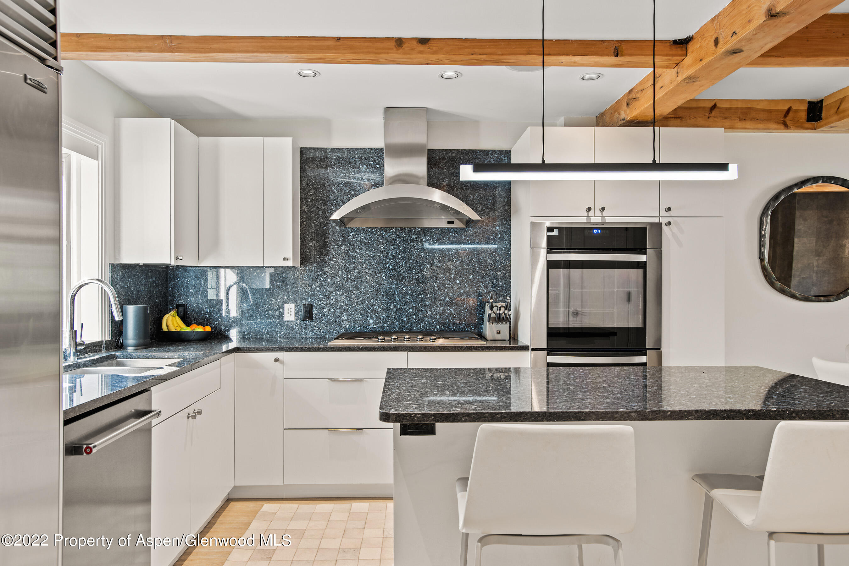 424 Park Circle Aspen CO 81611