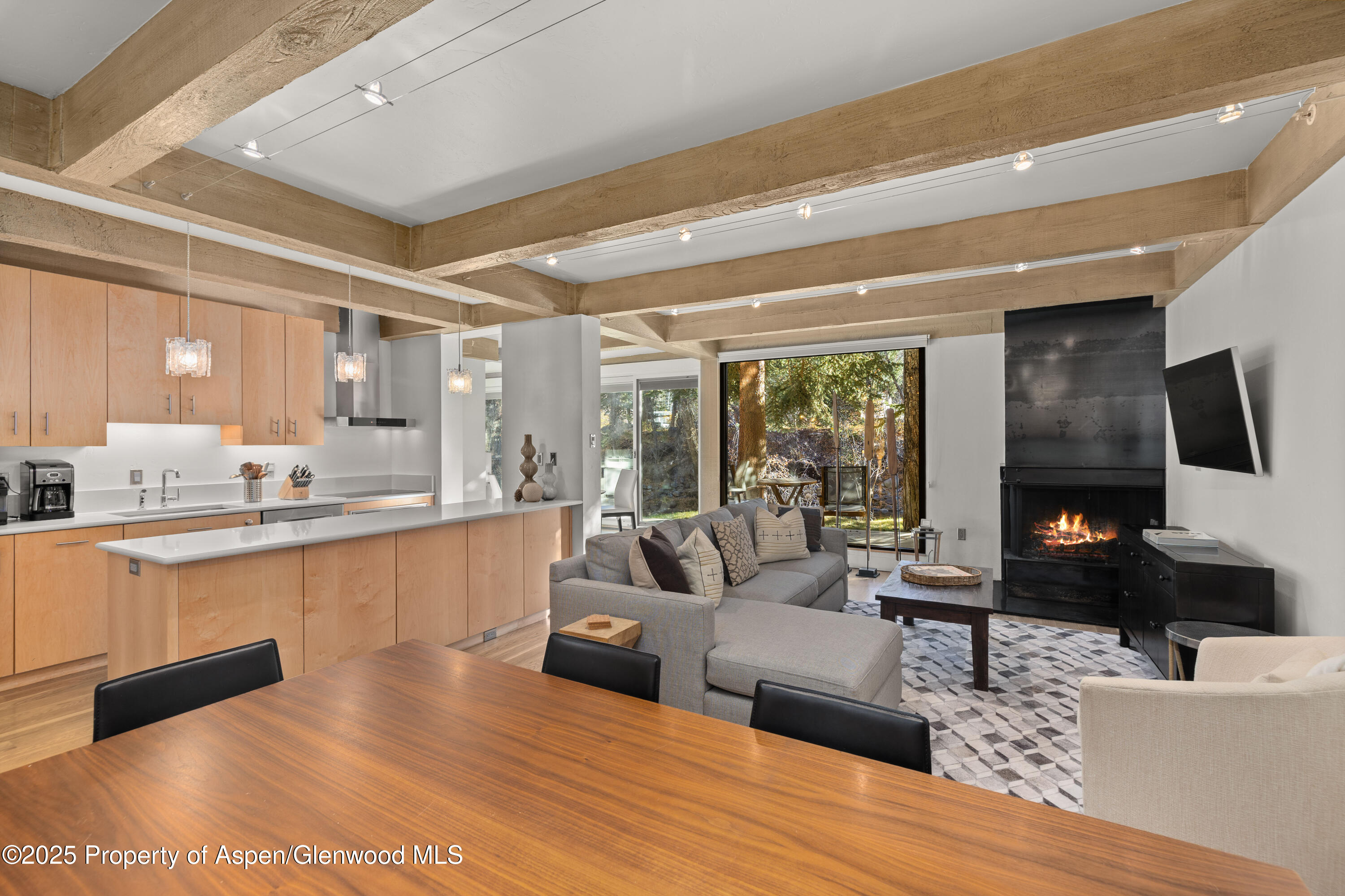 1034 E Cooper Avenue Aspen CO 81611