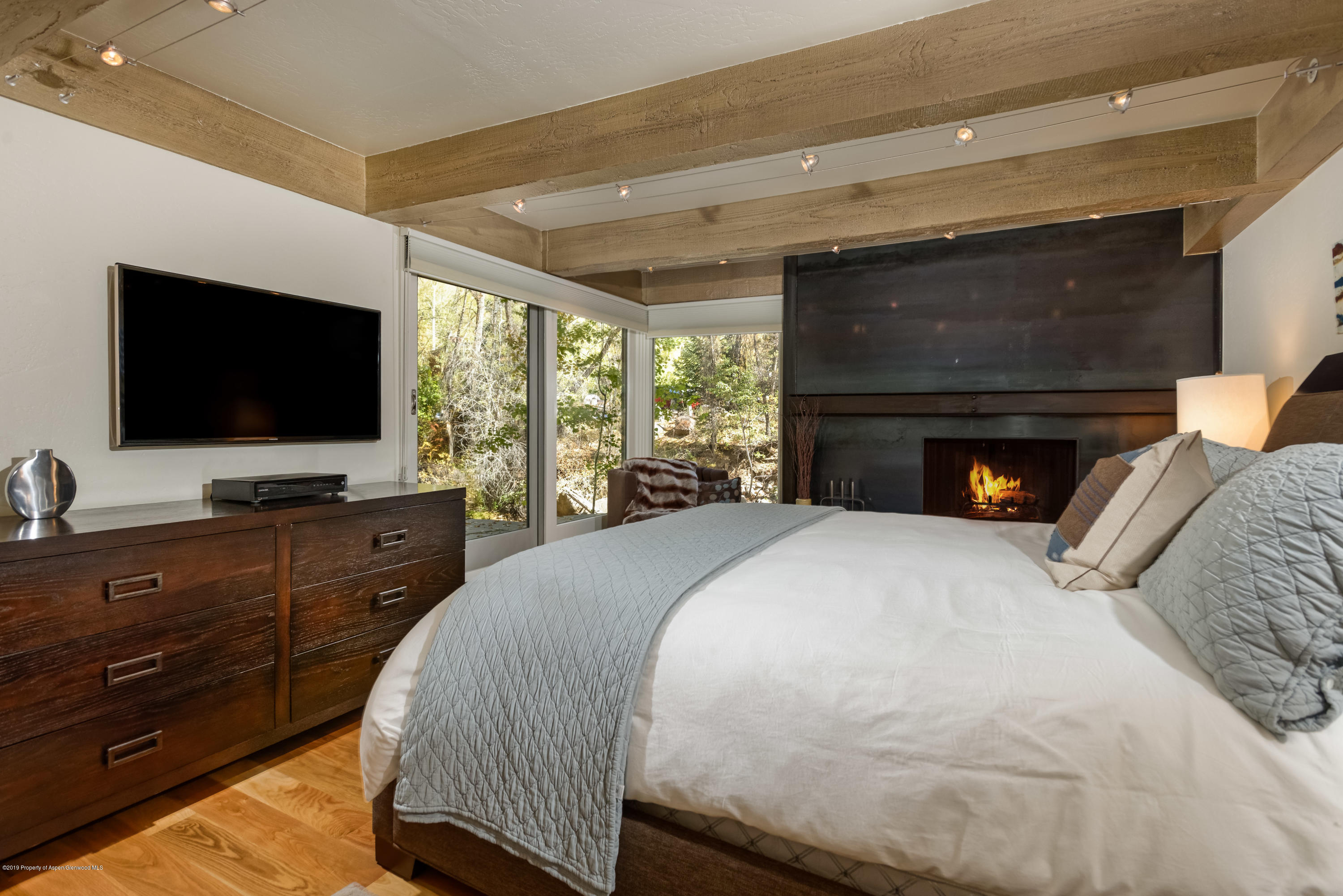 1034 E Cooper Avenue Aspen CO 81611