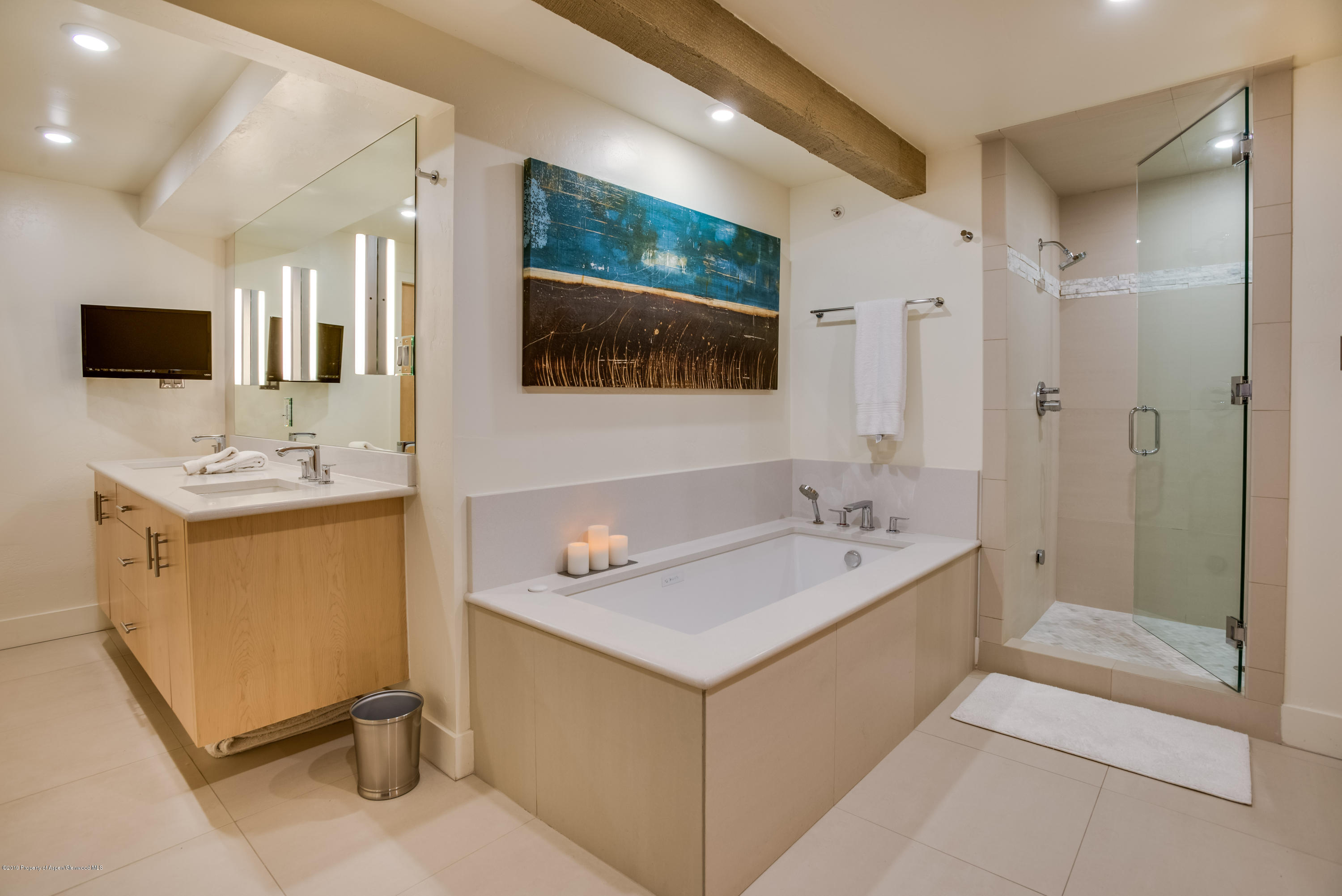 1034 E Cooper Avenue Aspen CO 81611