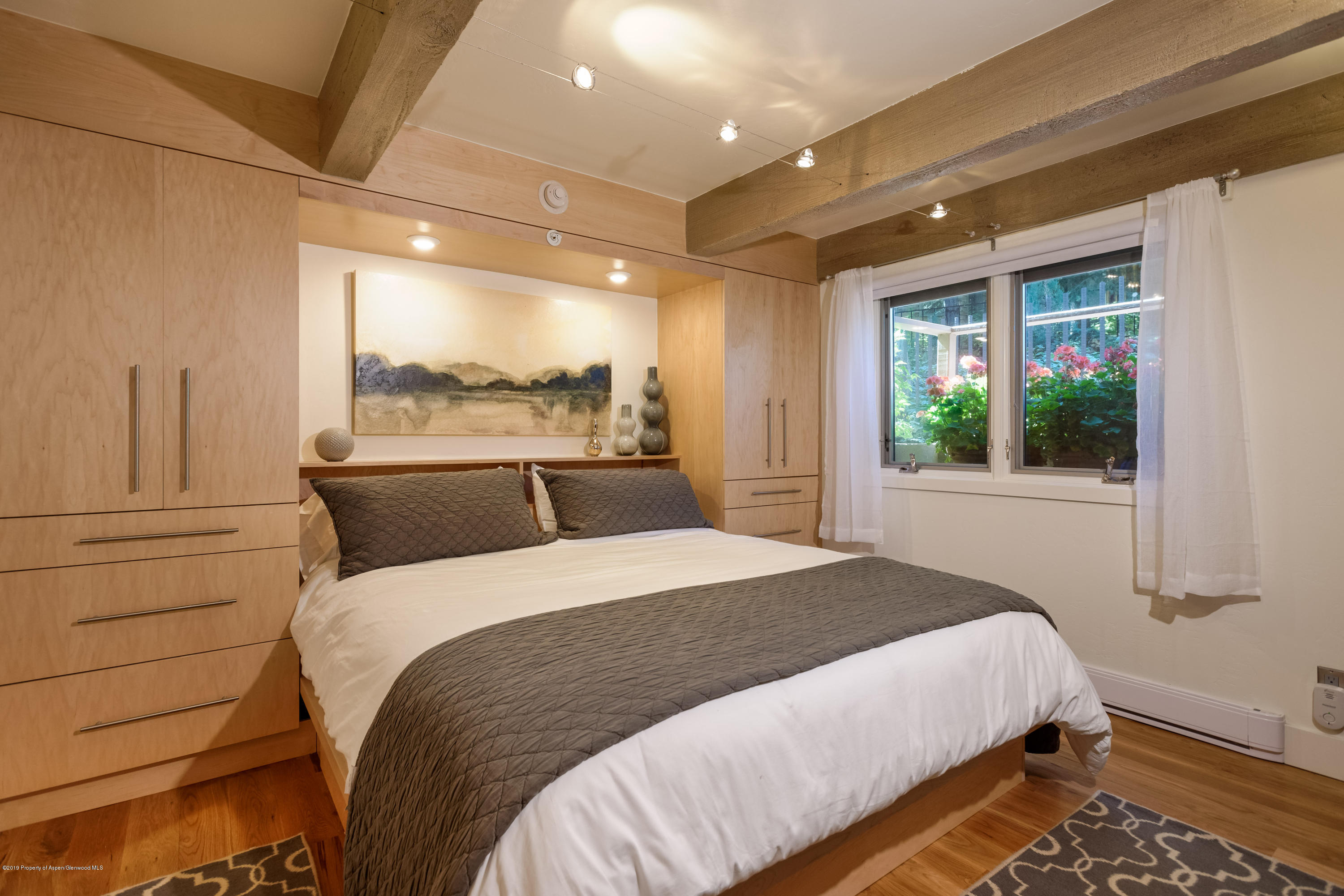 1034 E Cooper Avenue Aspen CO 81611