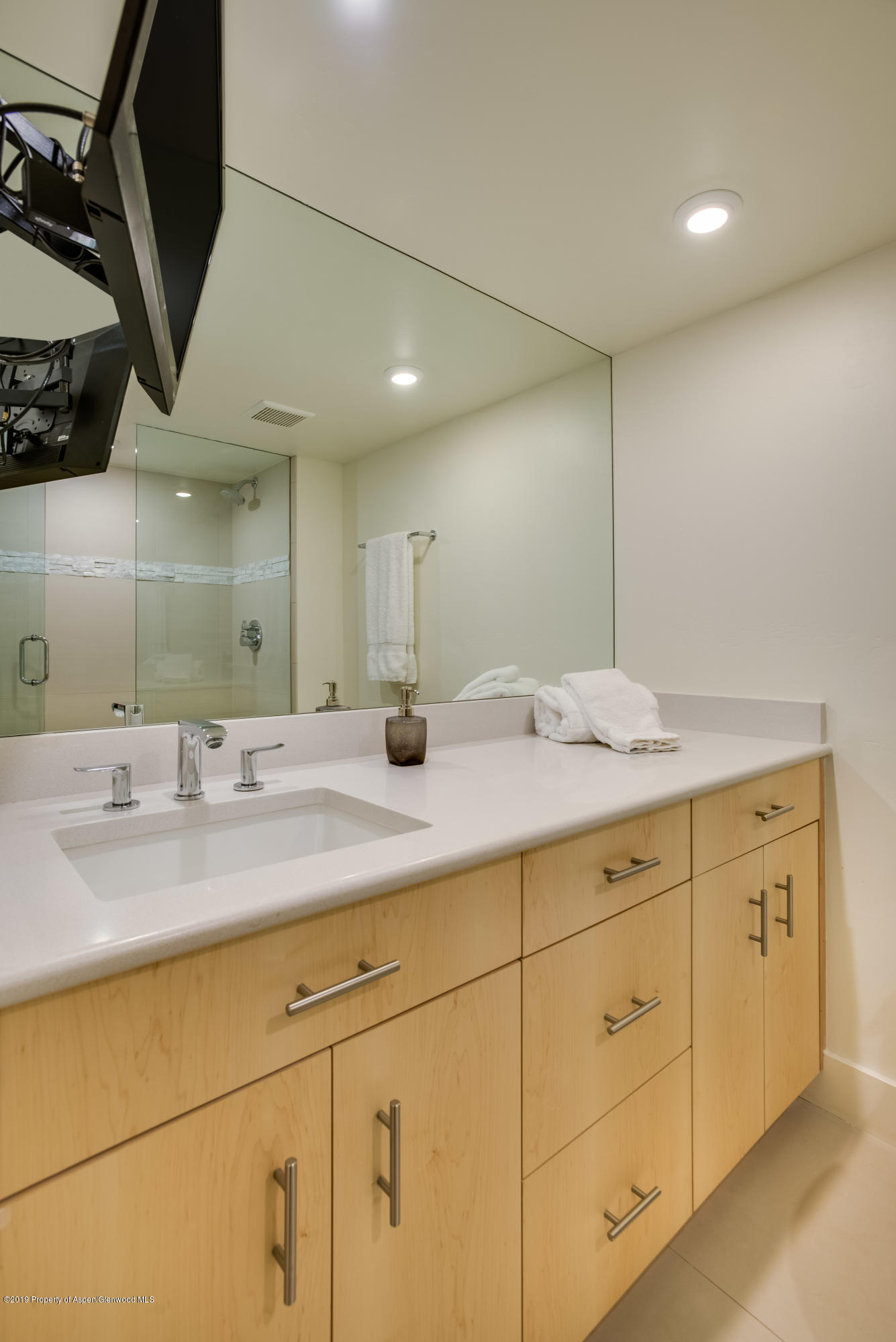 1034 E Cooper Avenue Aspen CO 81611