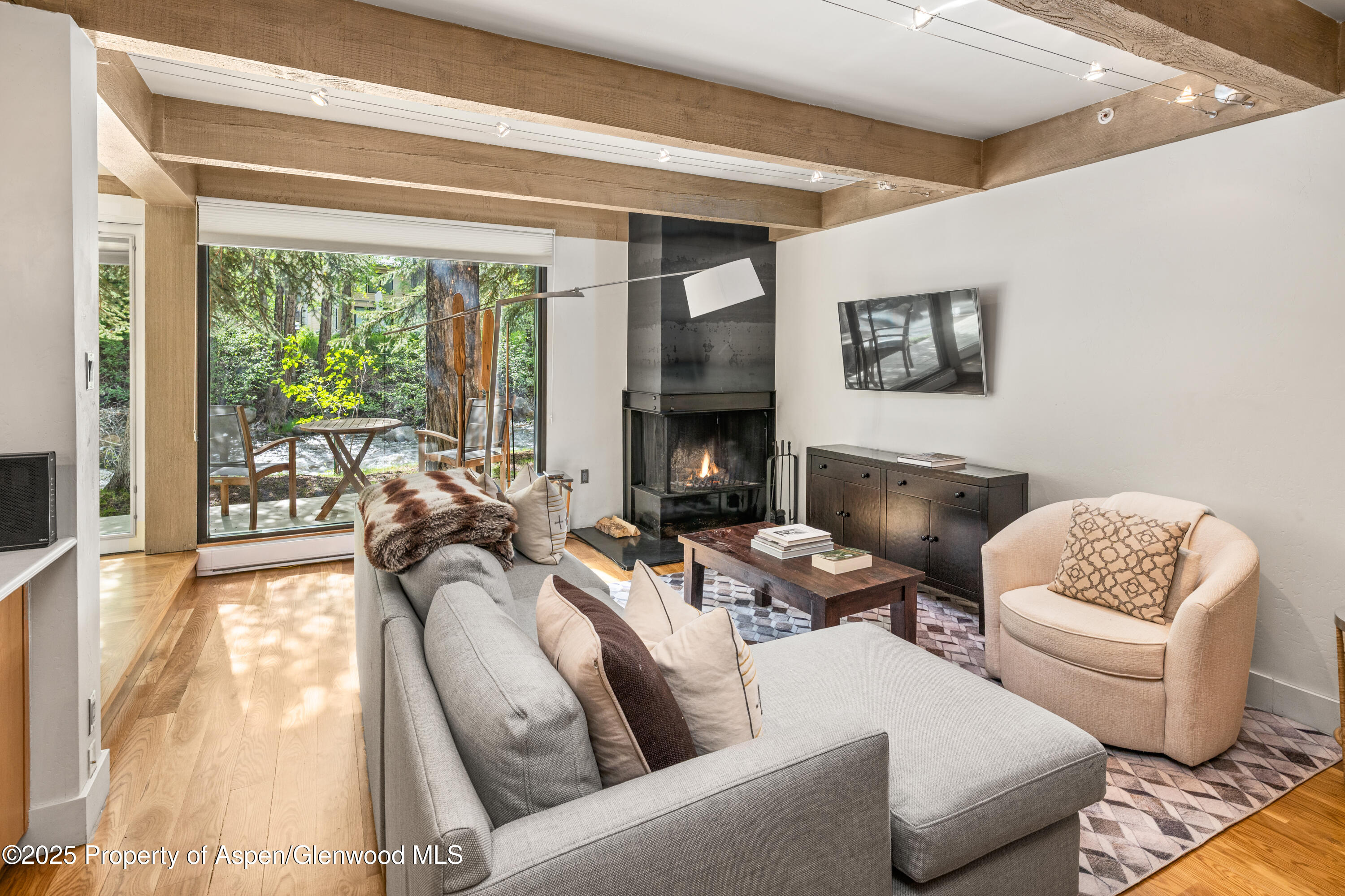 1034 E Cooper Avenue Aspen CO 81611