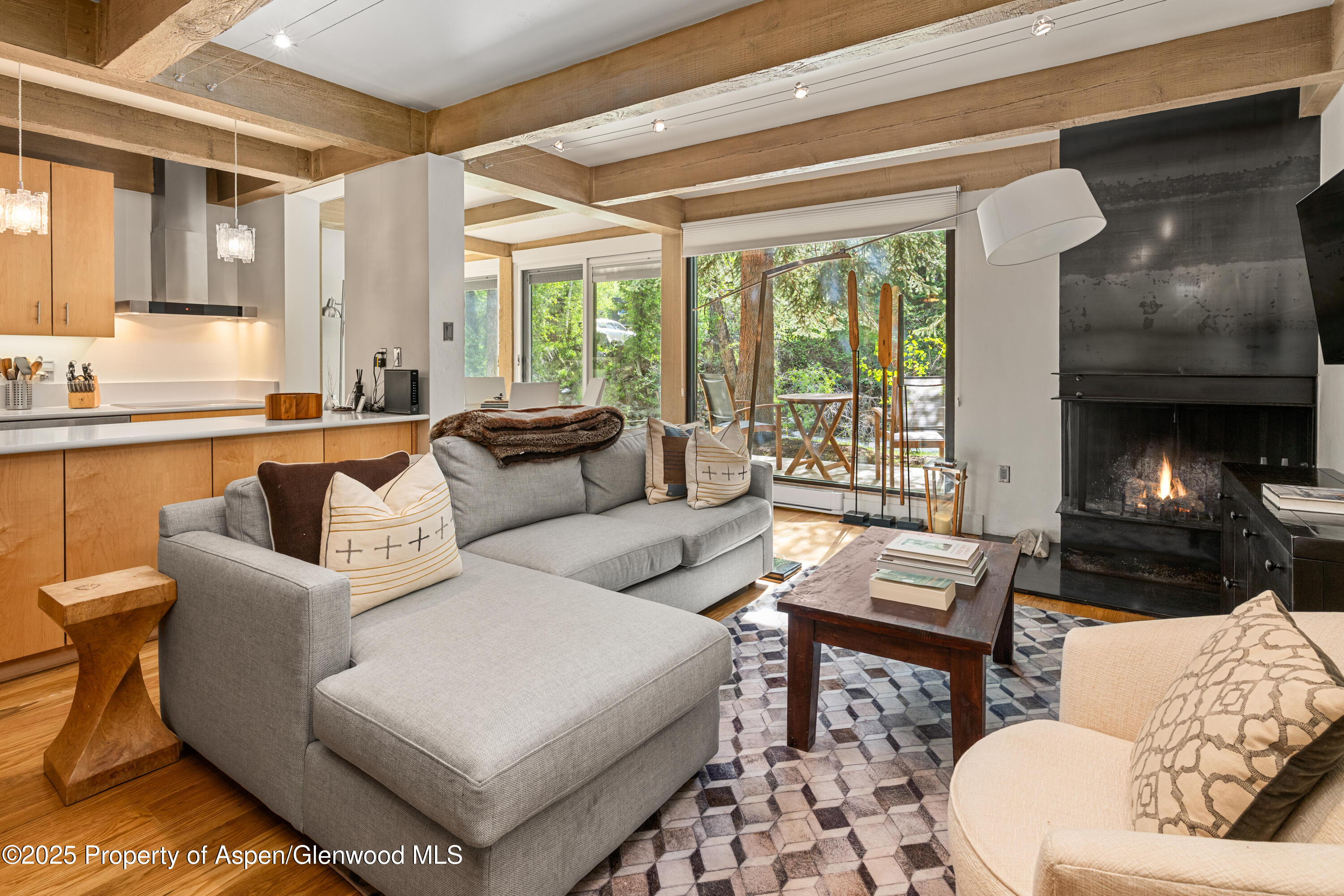 1034 E Cooper Avenue Aspen CO 81611