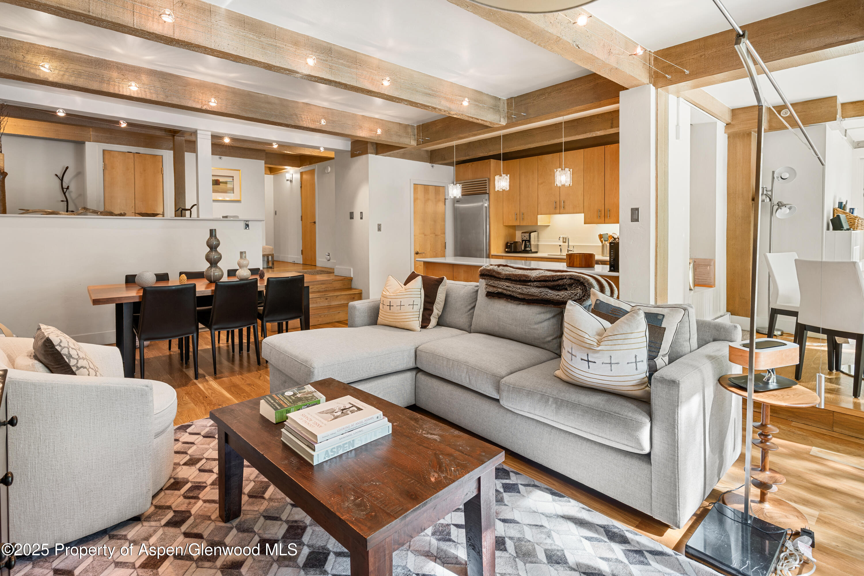 1034 E Cooper Avenue Aspen CO 81611