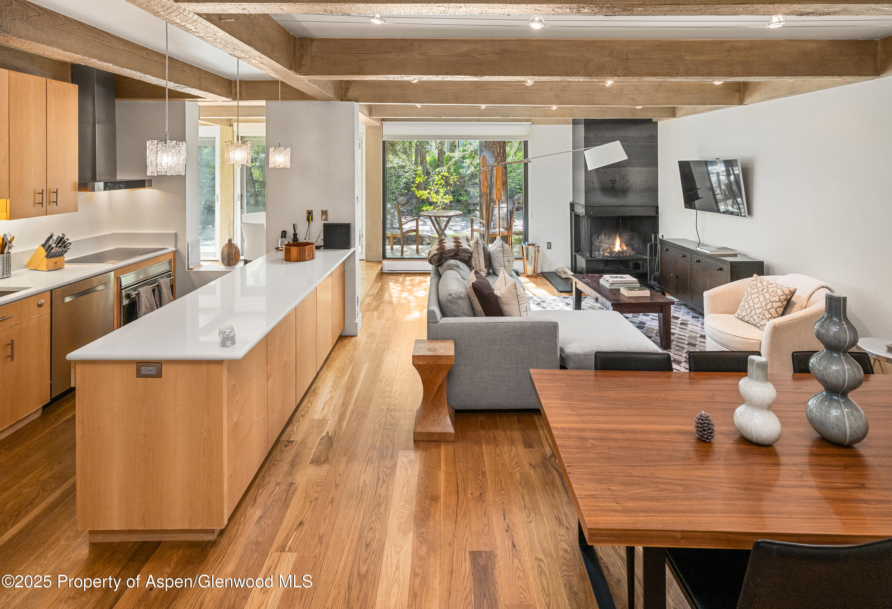 1034 E Cooper Avenue Aspen CO 81611