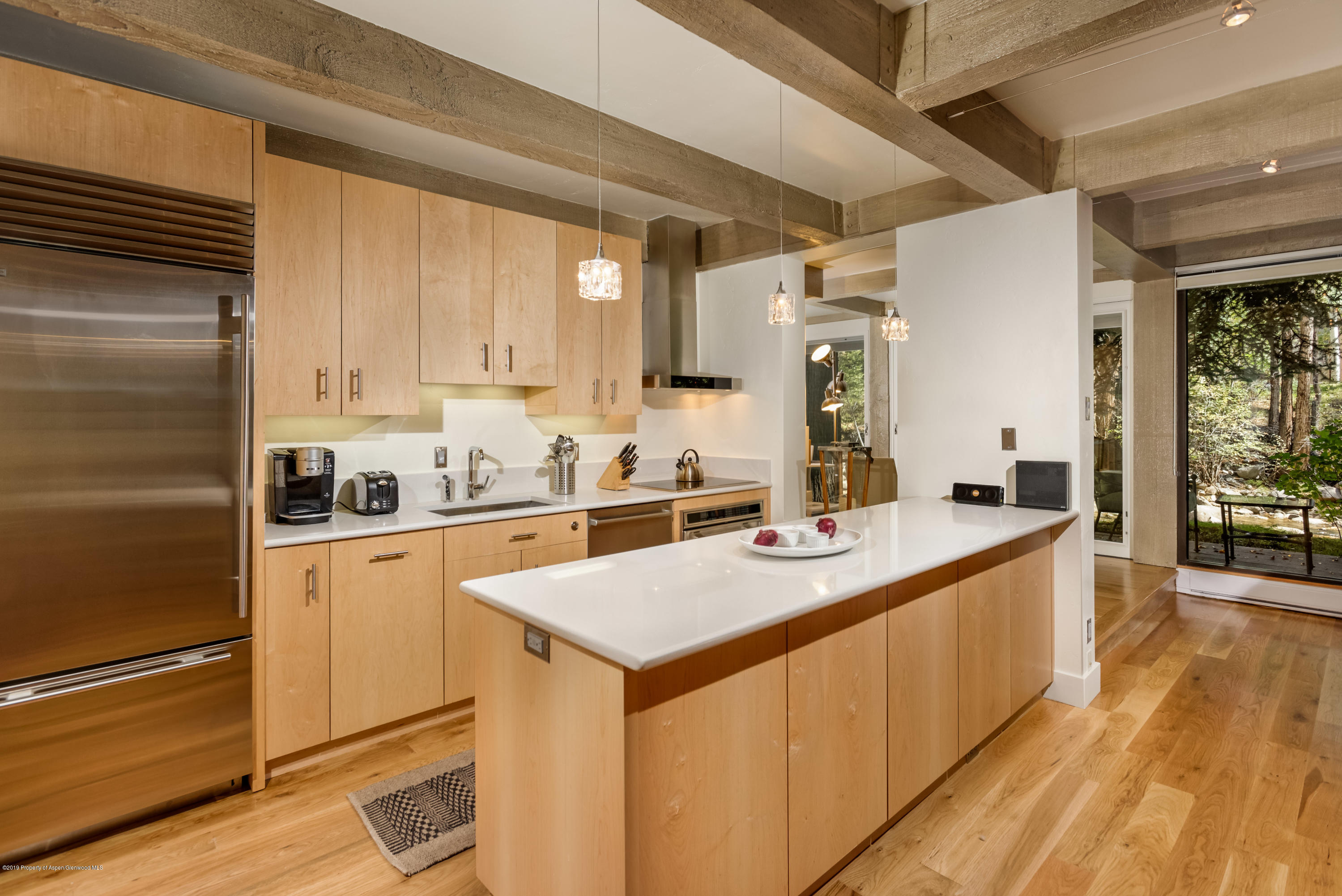 1034 E Cooper Avenue Aspen CO 81611