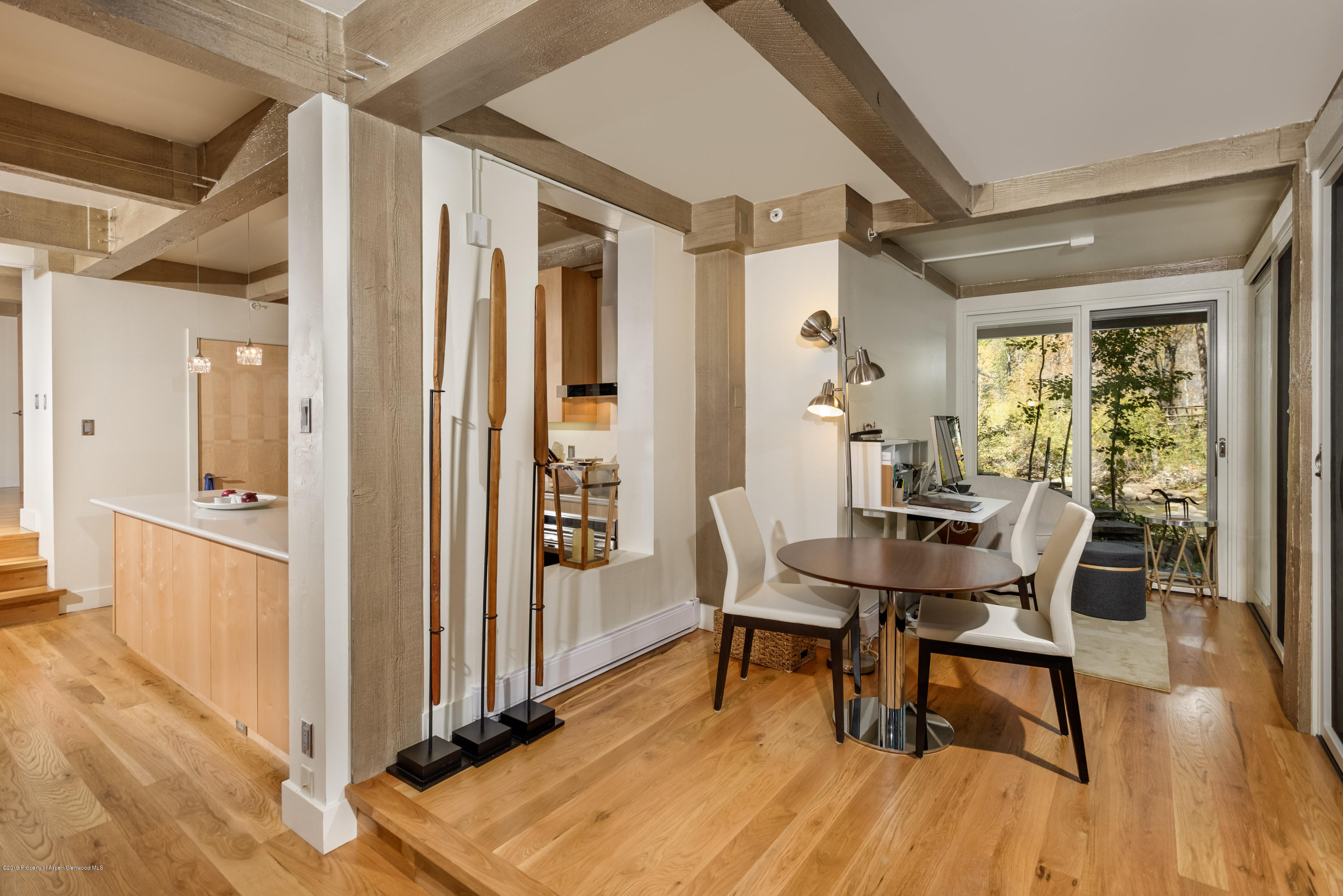 1034 E Cooper Avenue Aspen CO 81611