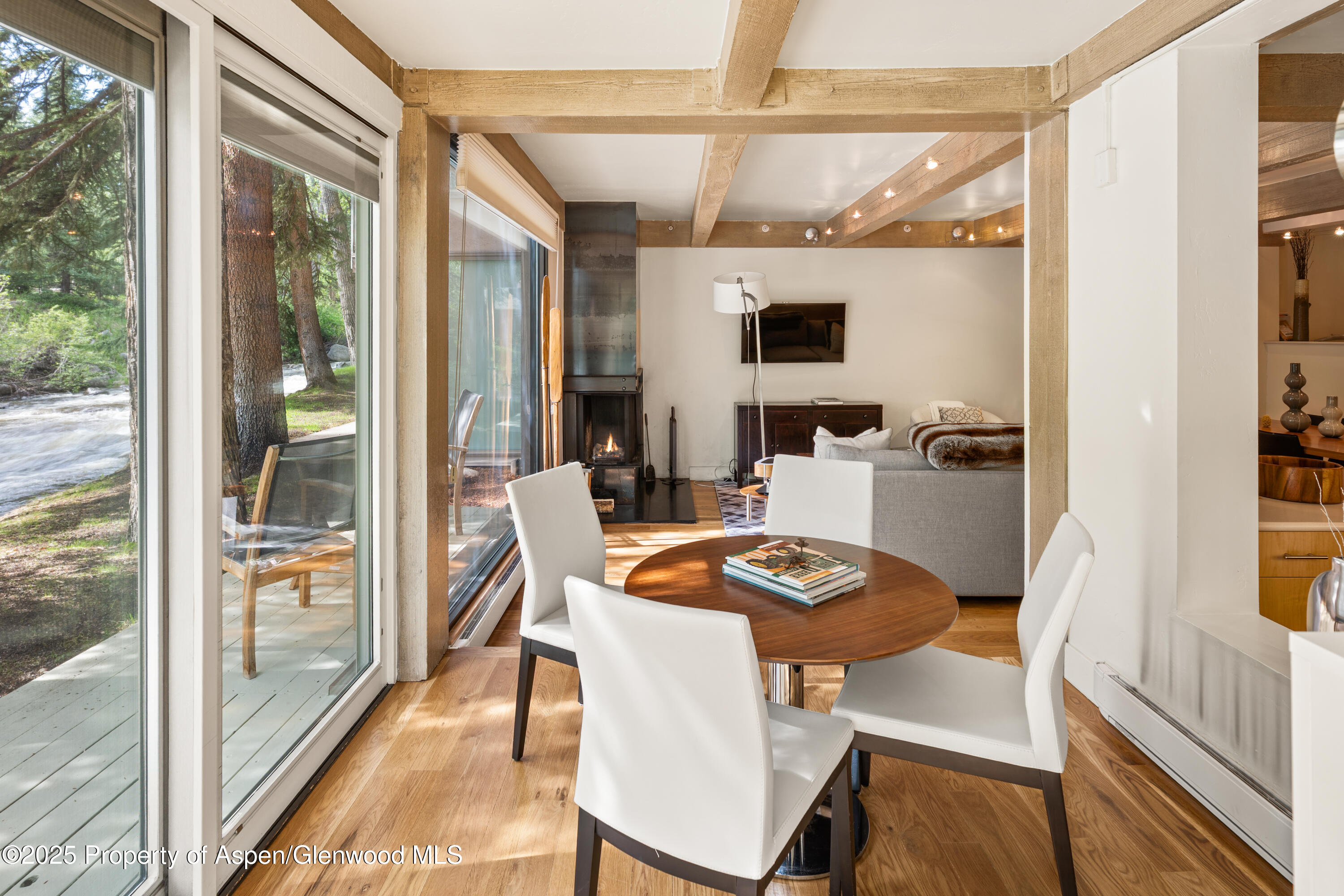 1034 E Cooper Avenue Aspen CO 81611