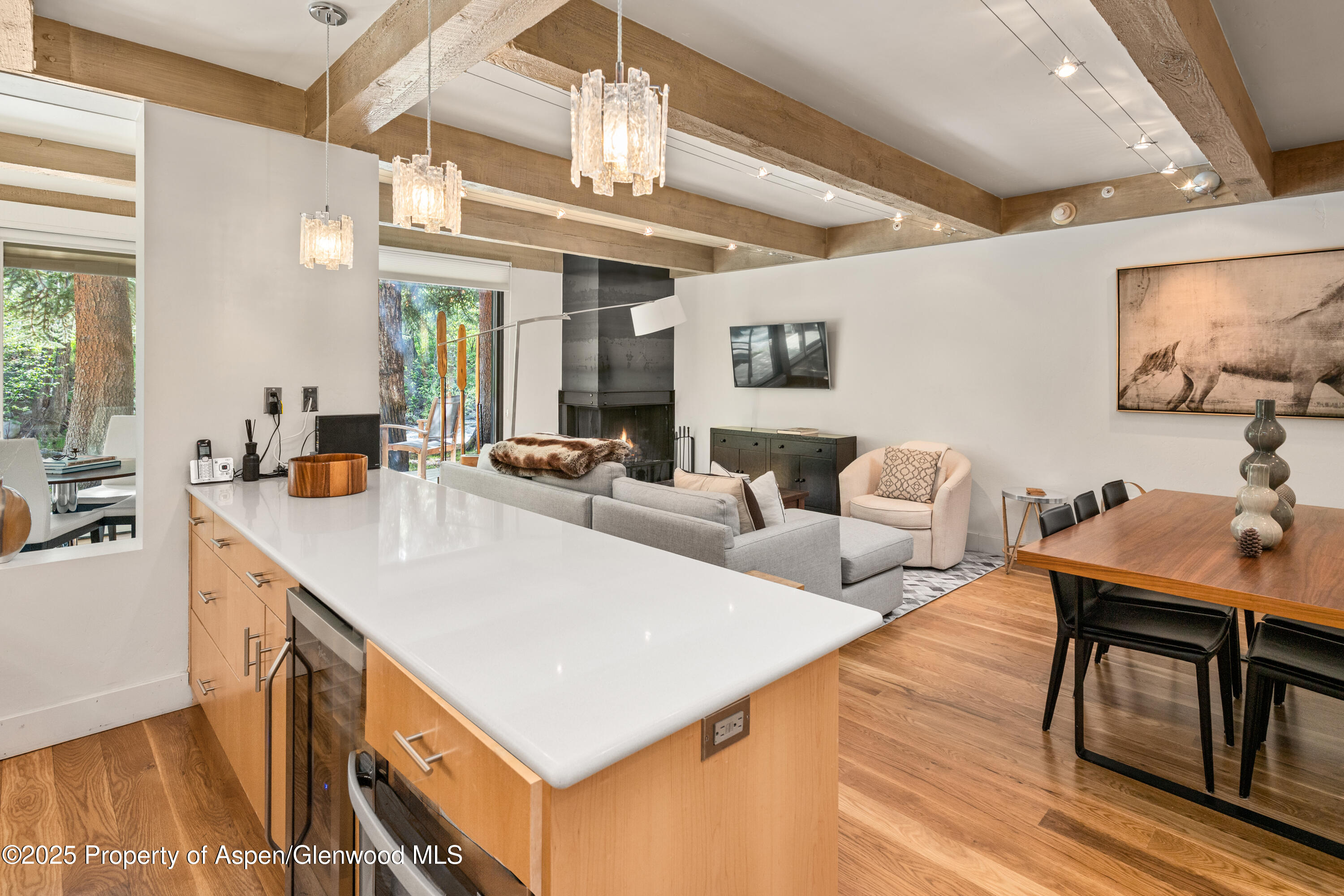 1034 E Cooper Avenue Aspen CO 81611