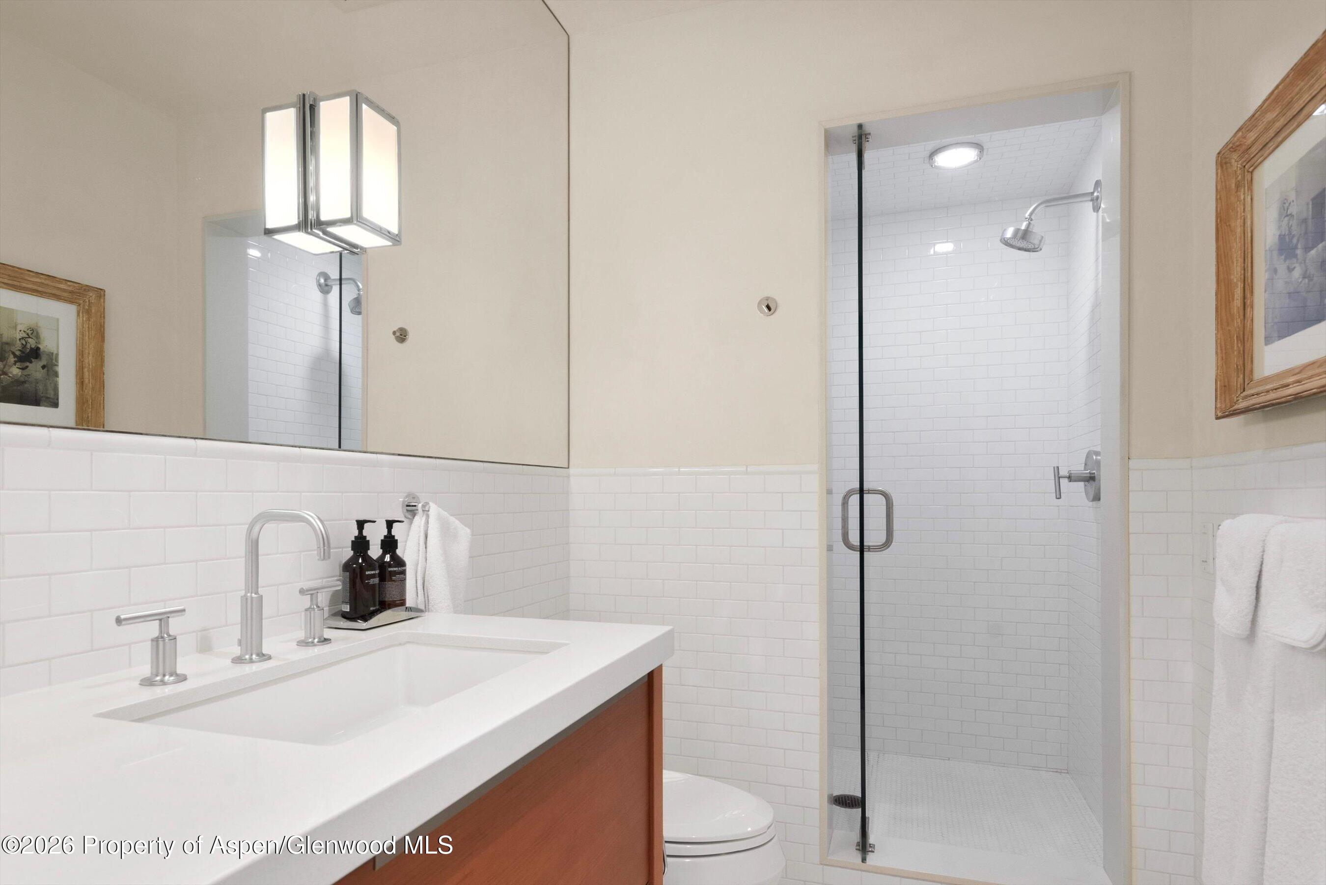 629 W Smuggler Street Aspen CO 81611