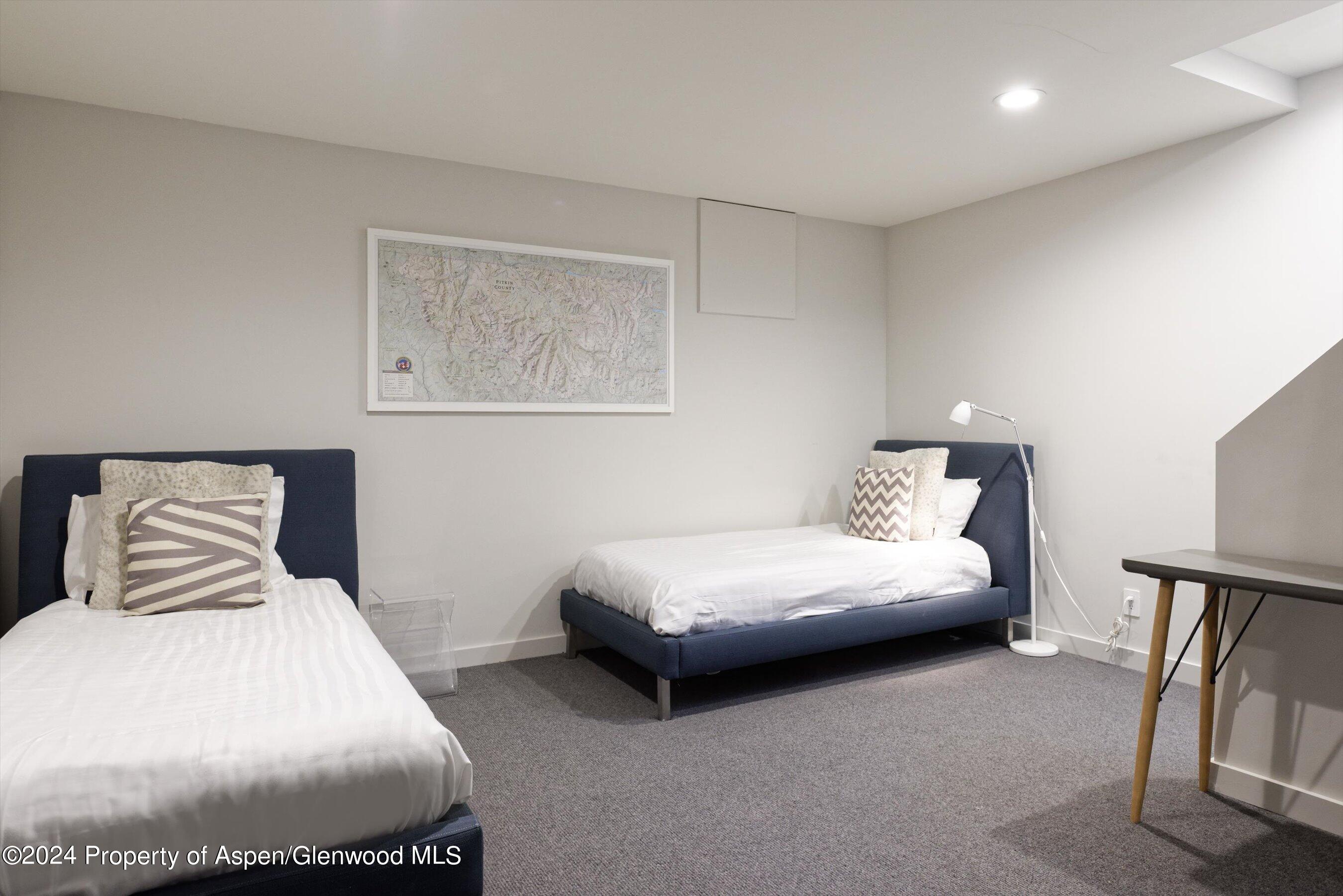 725 Castle Creek Drive Aspen CO 81611