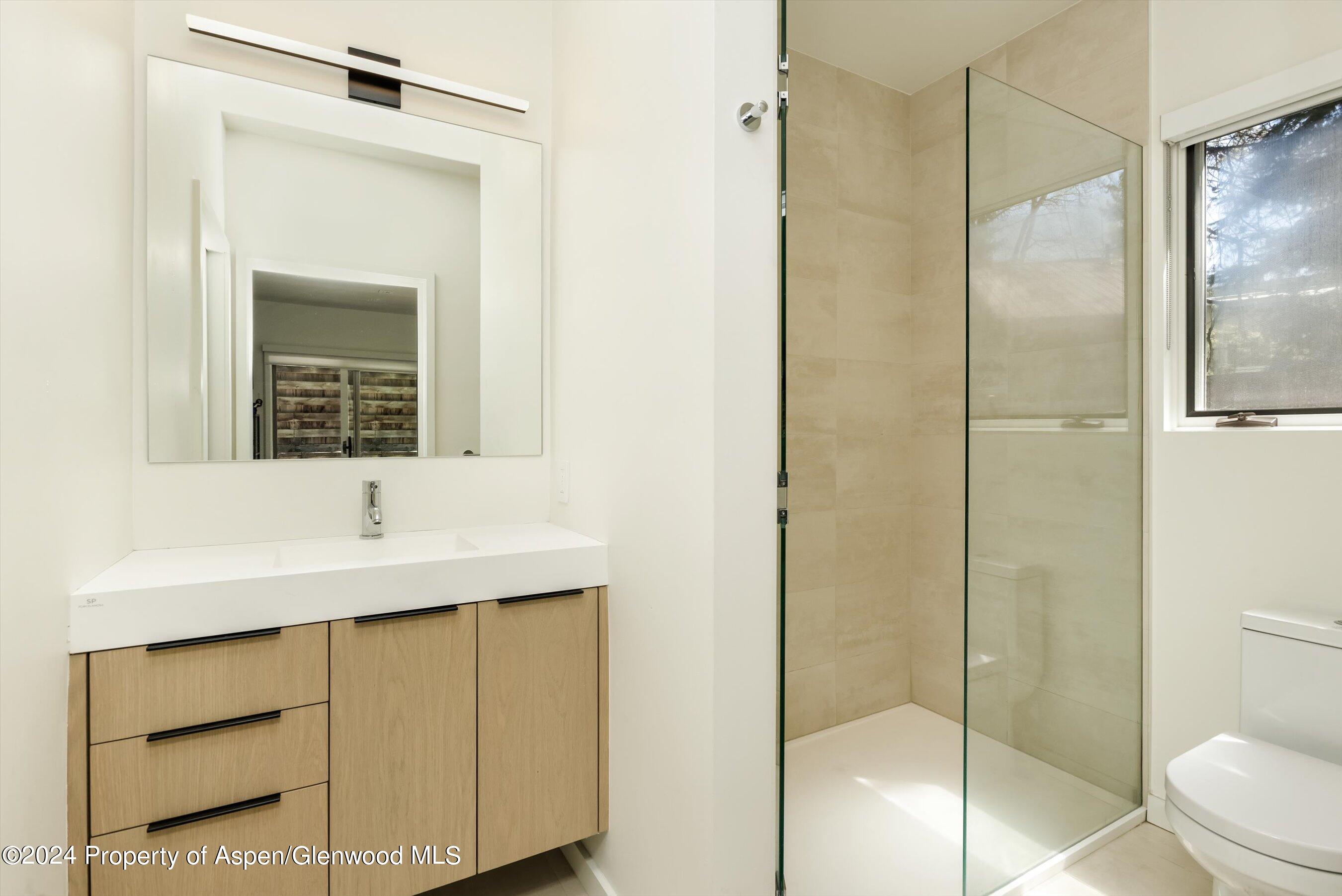 725 Castle Creek Drive Aspen CO 81611