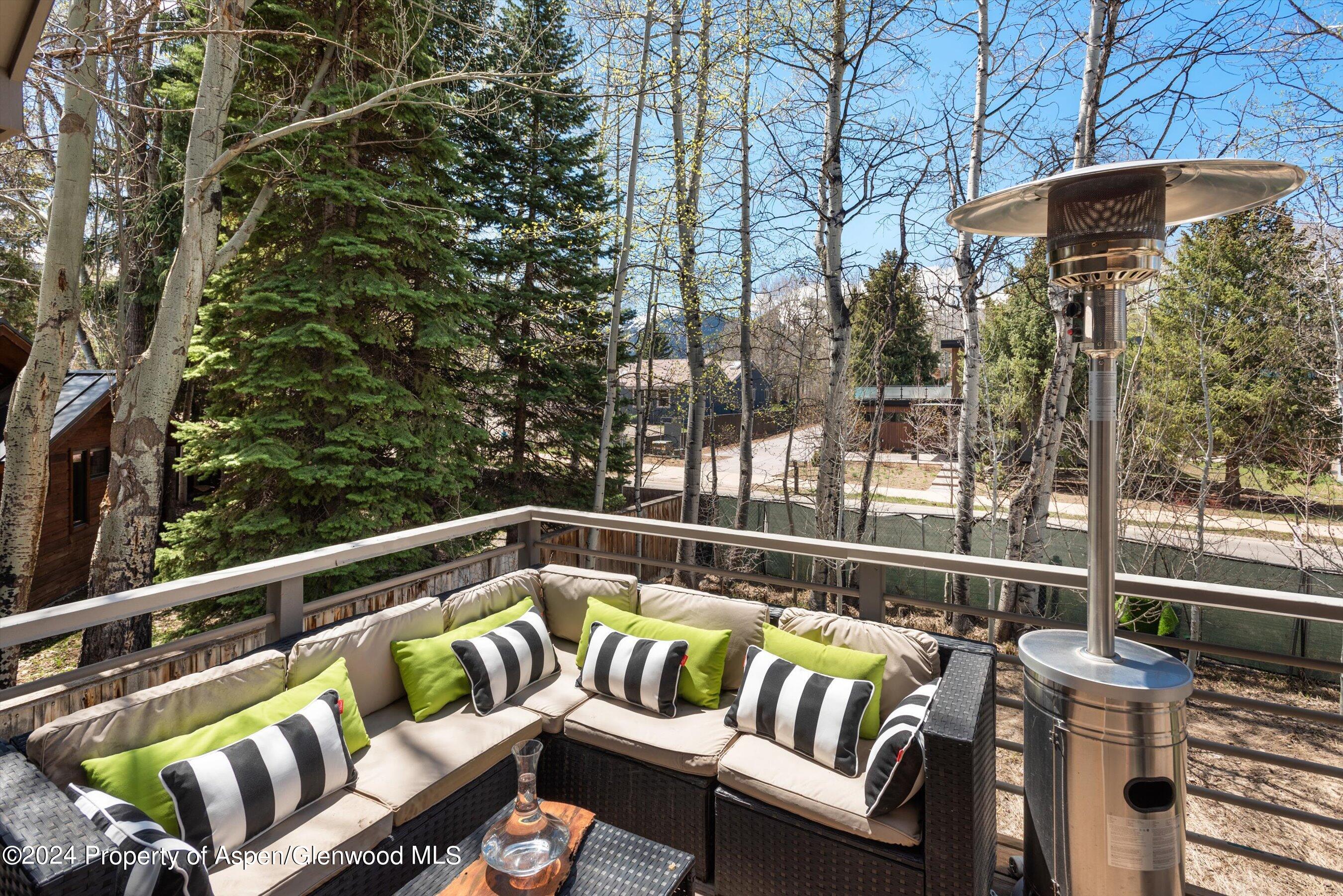 725 Castle Creek Drive Aspen CO 81611