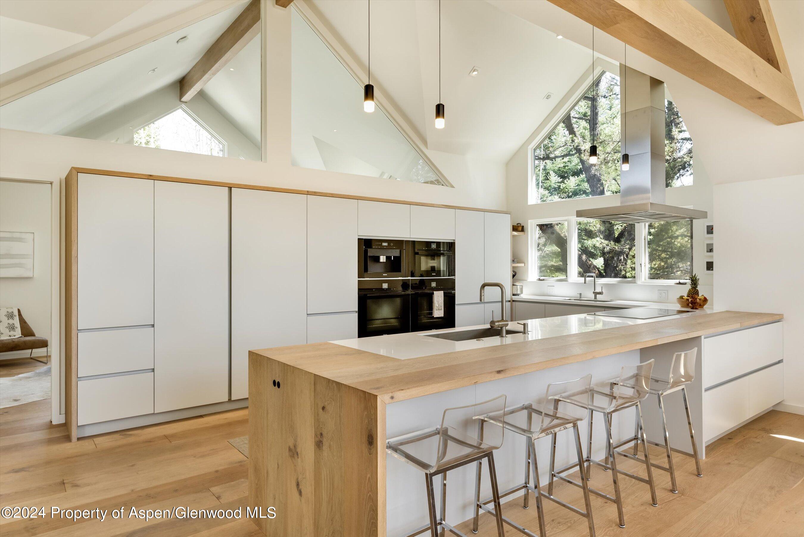 725 Castle Creek Drive Aspen CO 81611