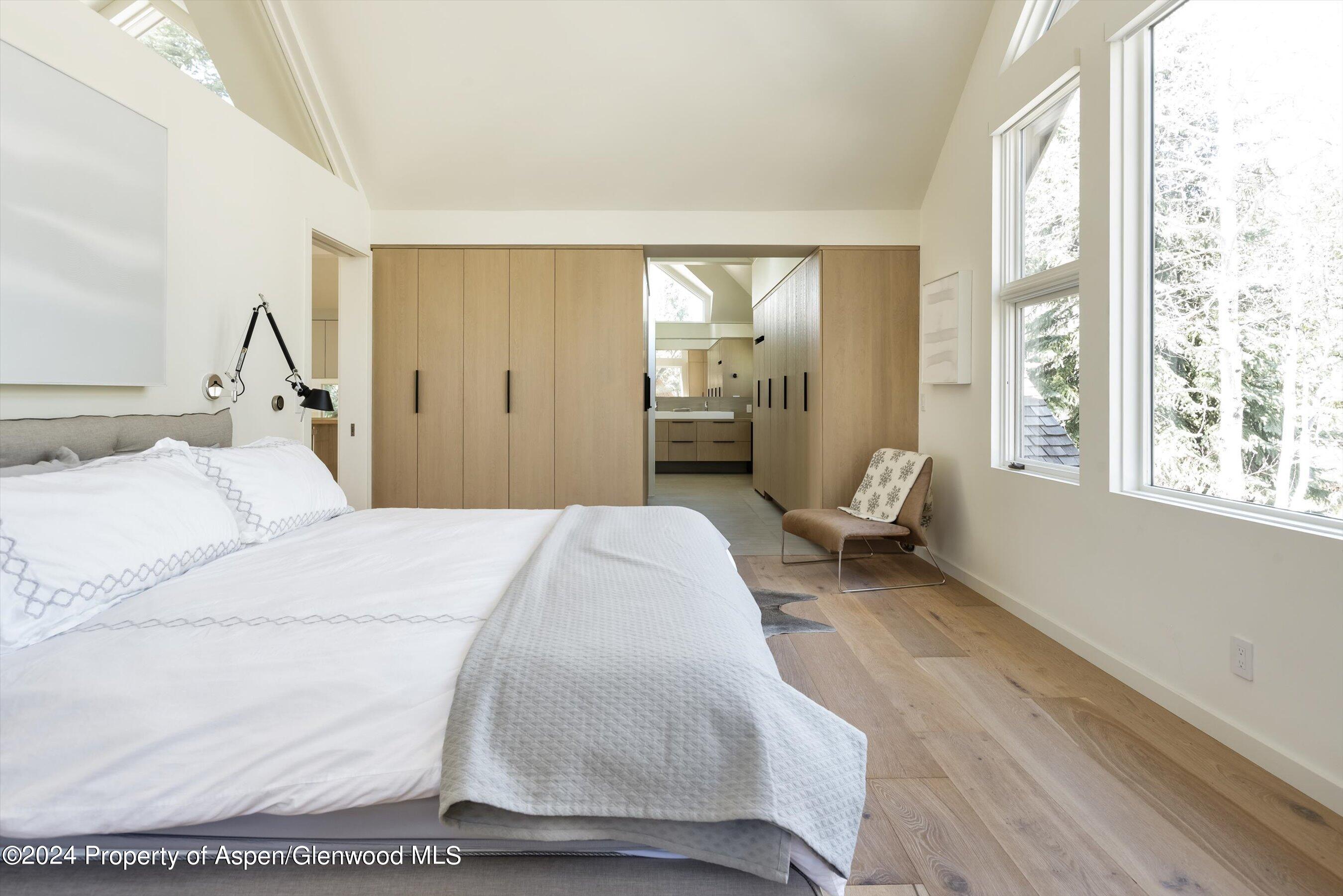 725 Castle Creek Drive Aspen CO 81611