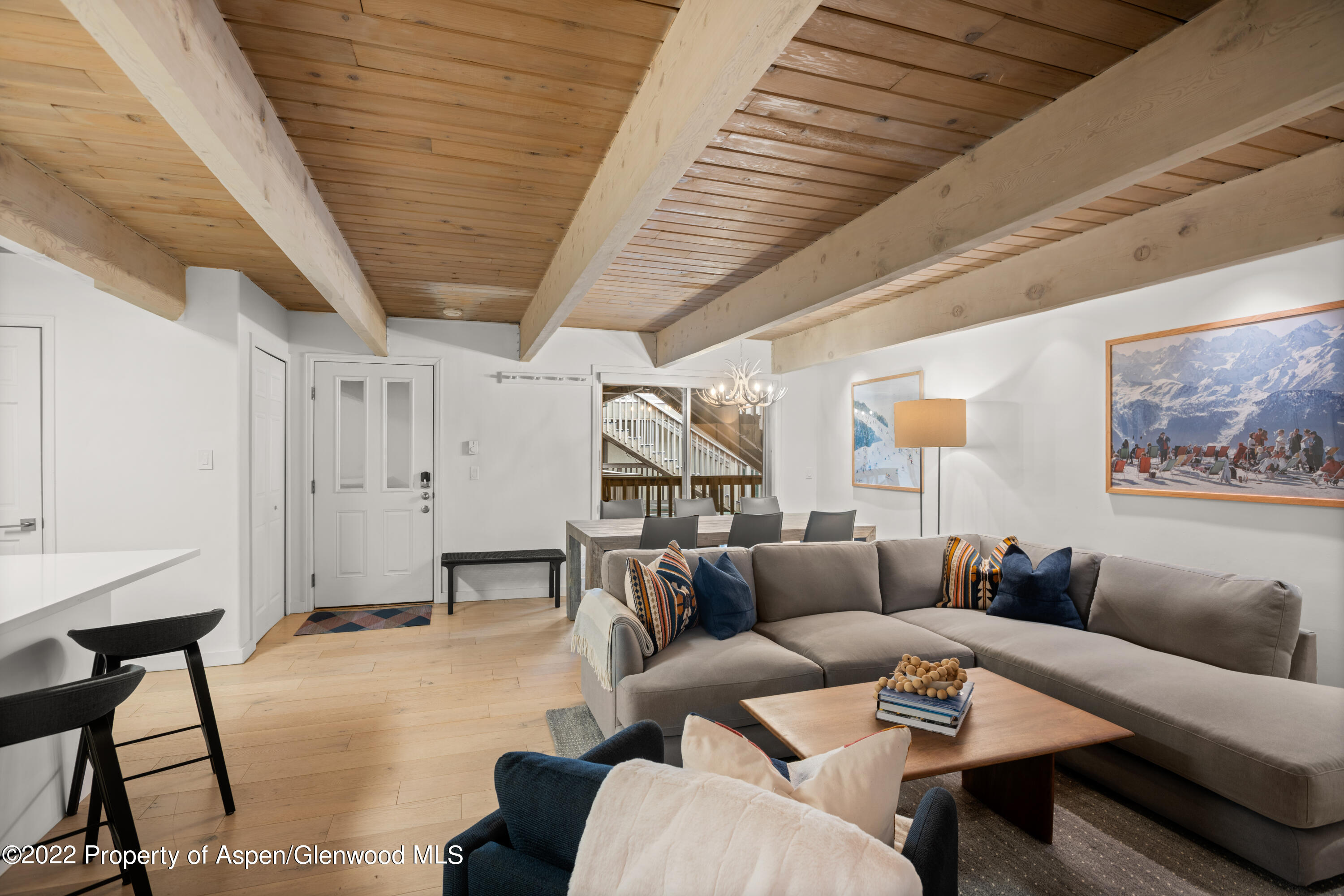 731 E Durant Avenue Aspen CO 81611