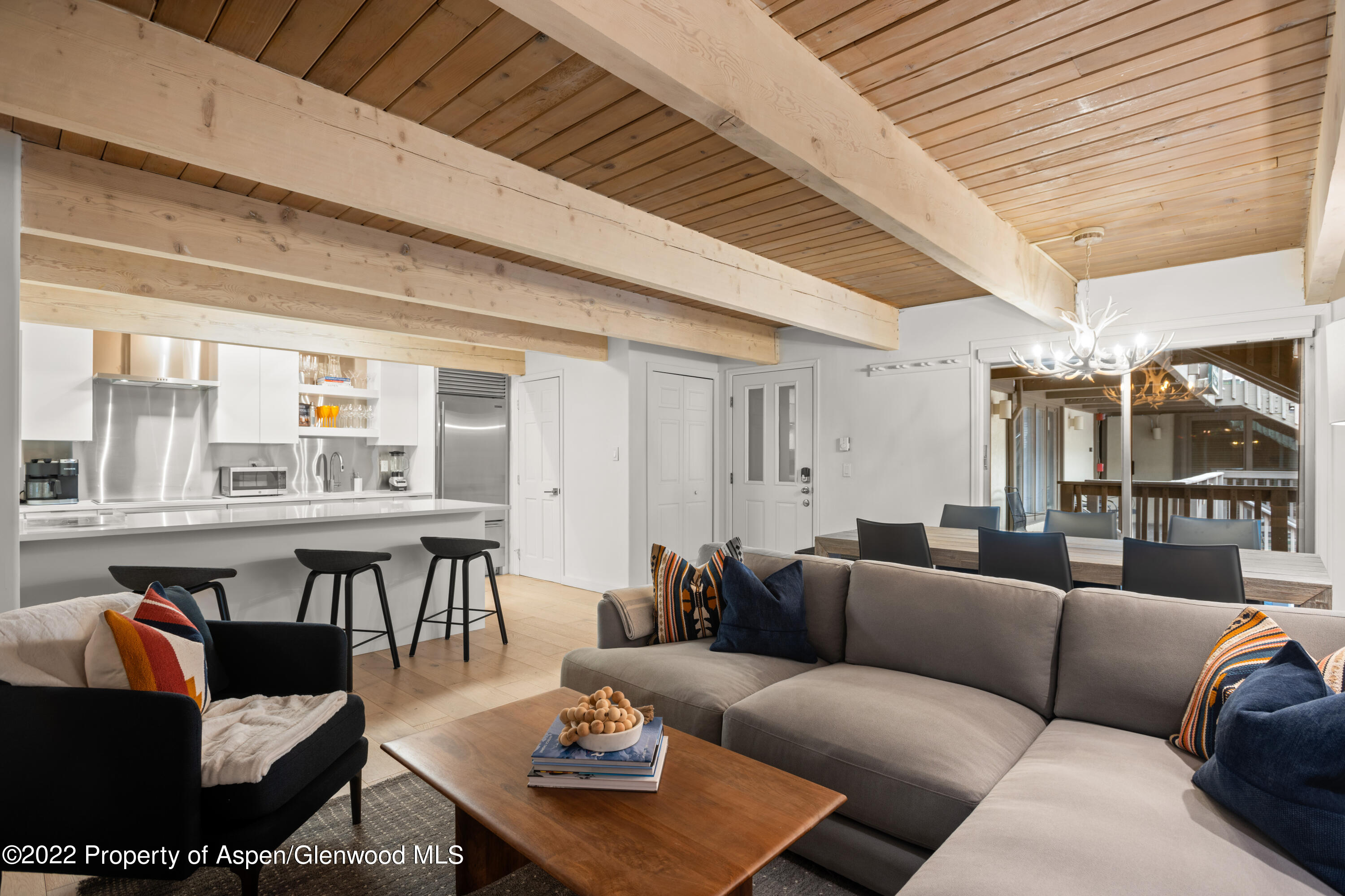 731 E Durant Avenue Aspen CO 81611