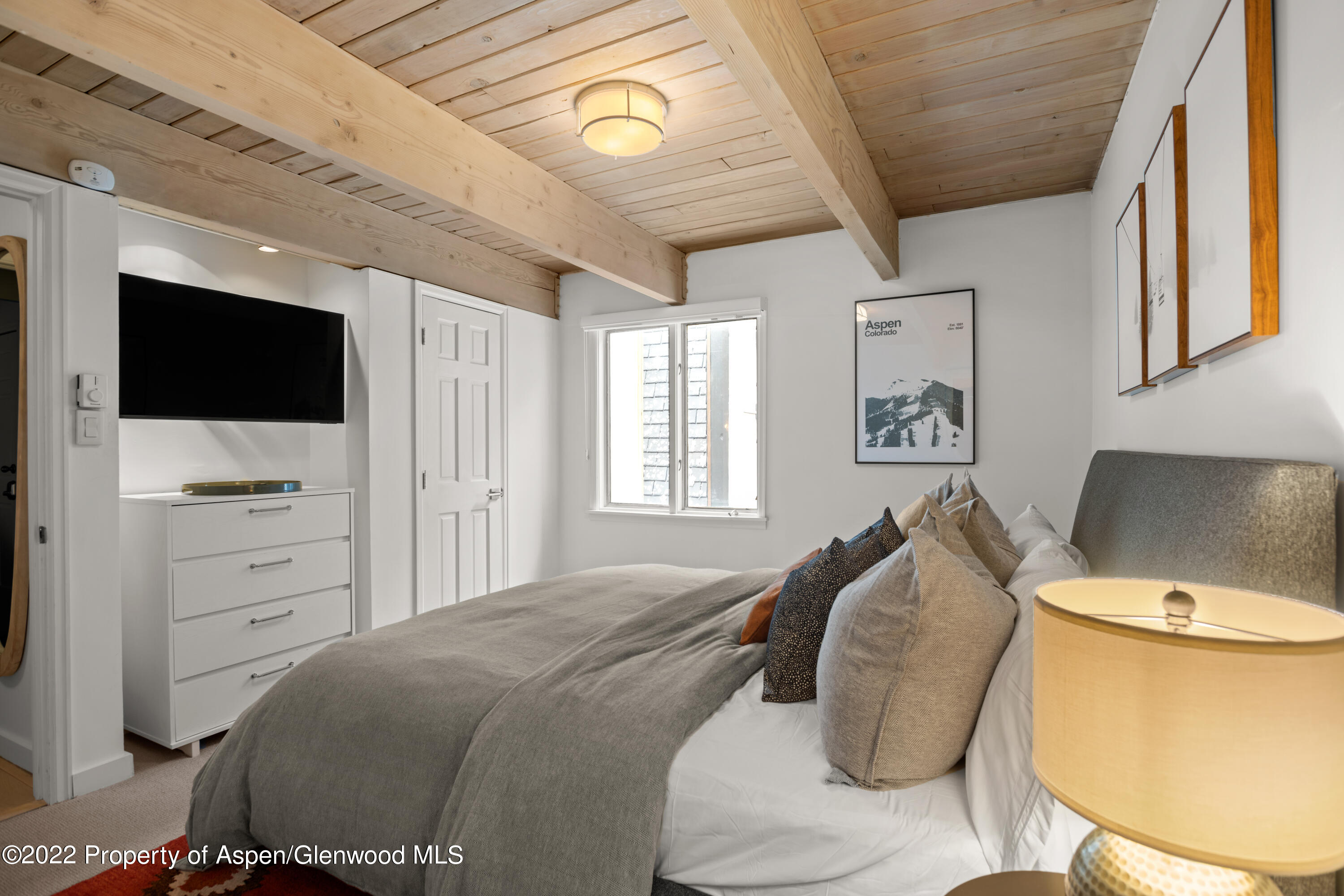 731 E Durant Avenue Aspen CO 81611