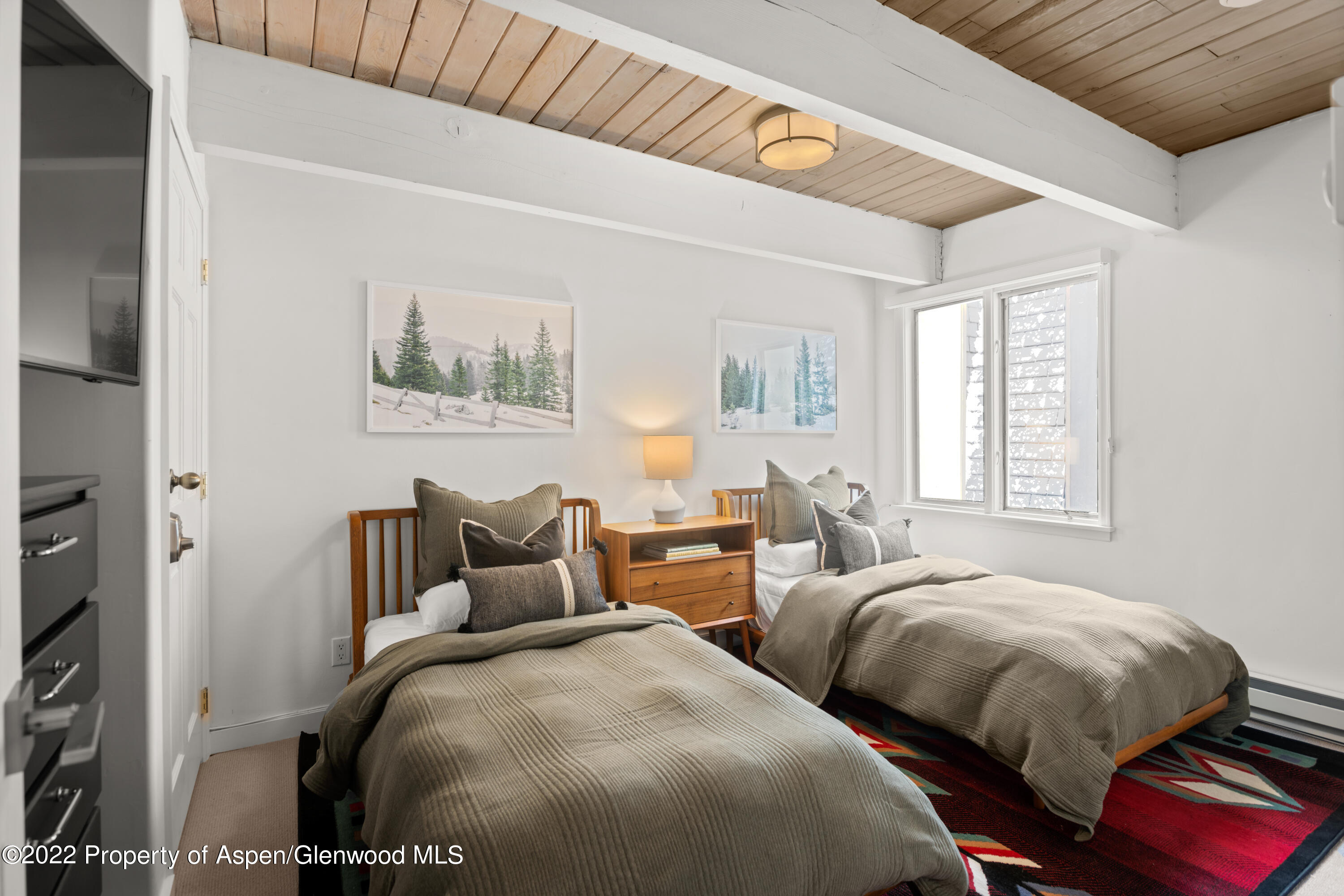 731 E Durant Avenue Aspen CO 81611